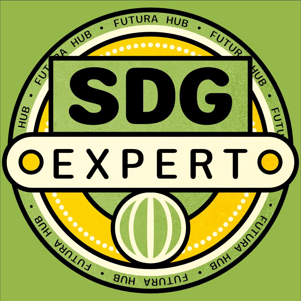 SDG Expert