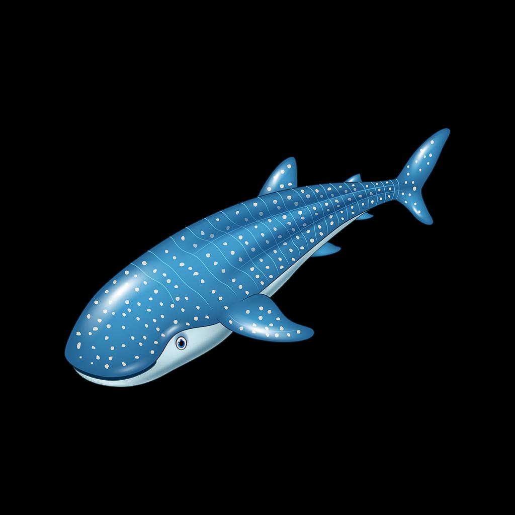 Whale Shark Badge