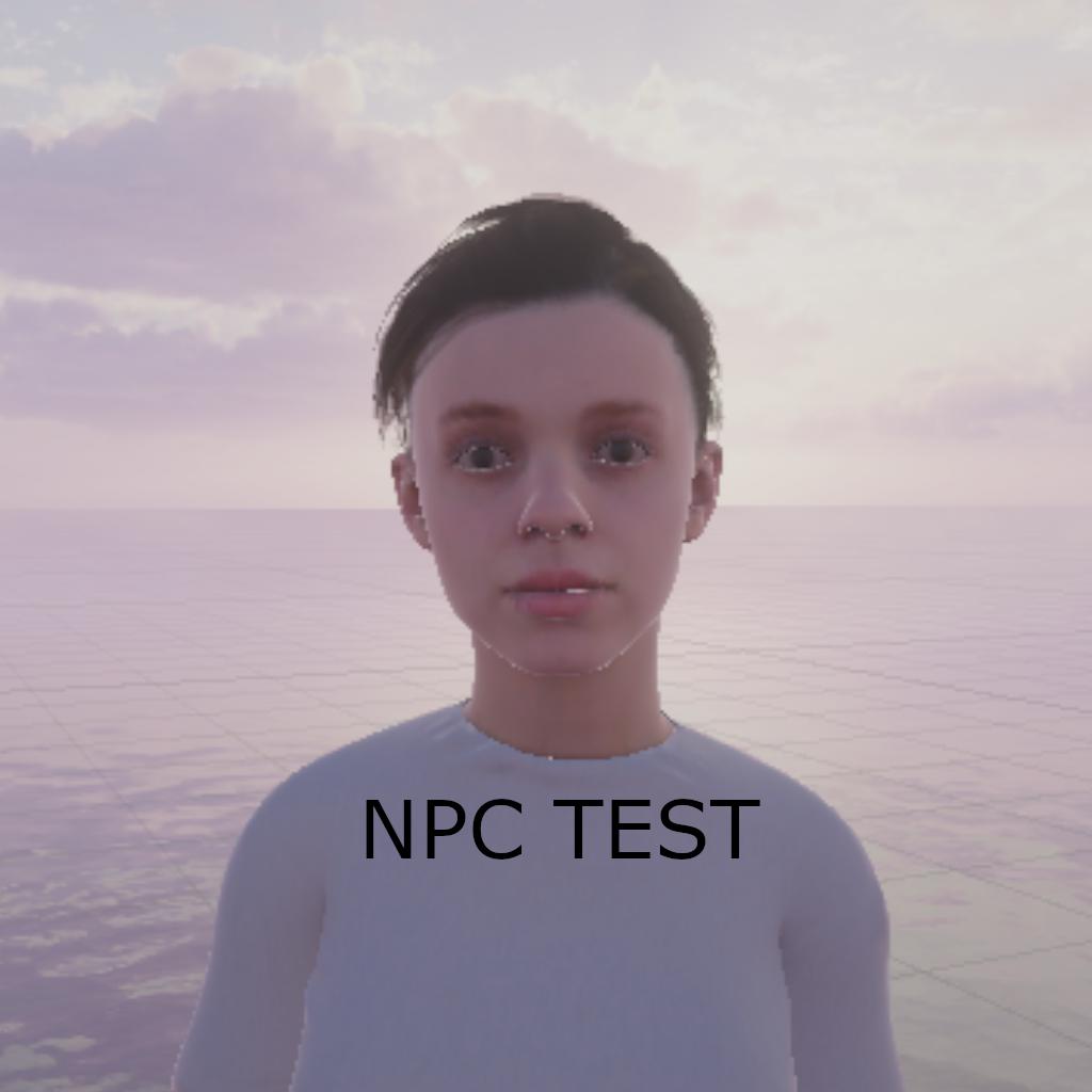 My NPC