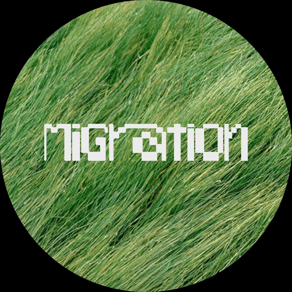 The Migration: Arts Residency