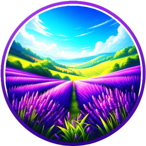 Lavender Fields