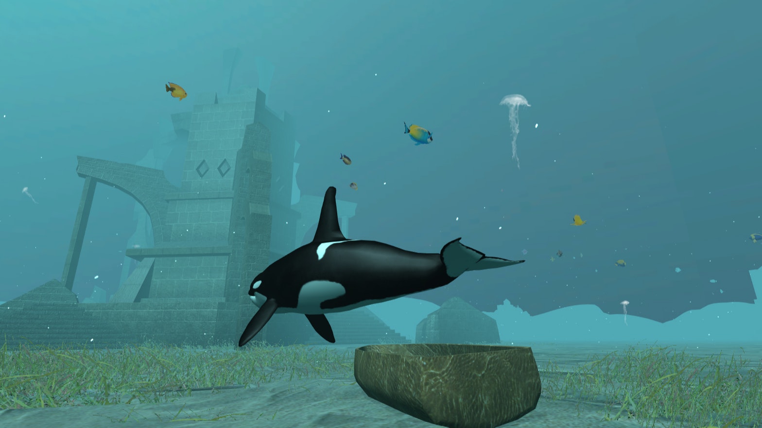 Killer Whale - Play Free Online | Spatial