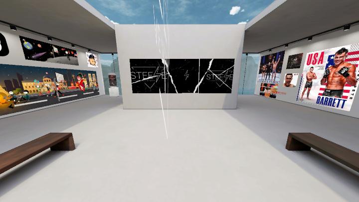 Steeze World: The Creative Network