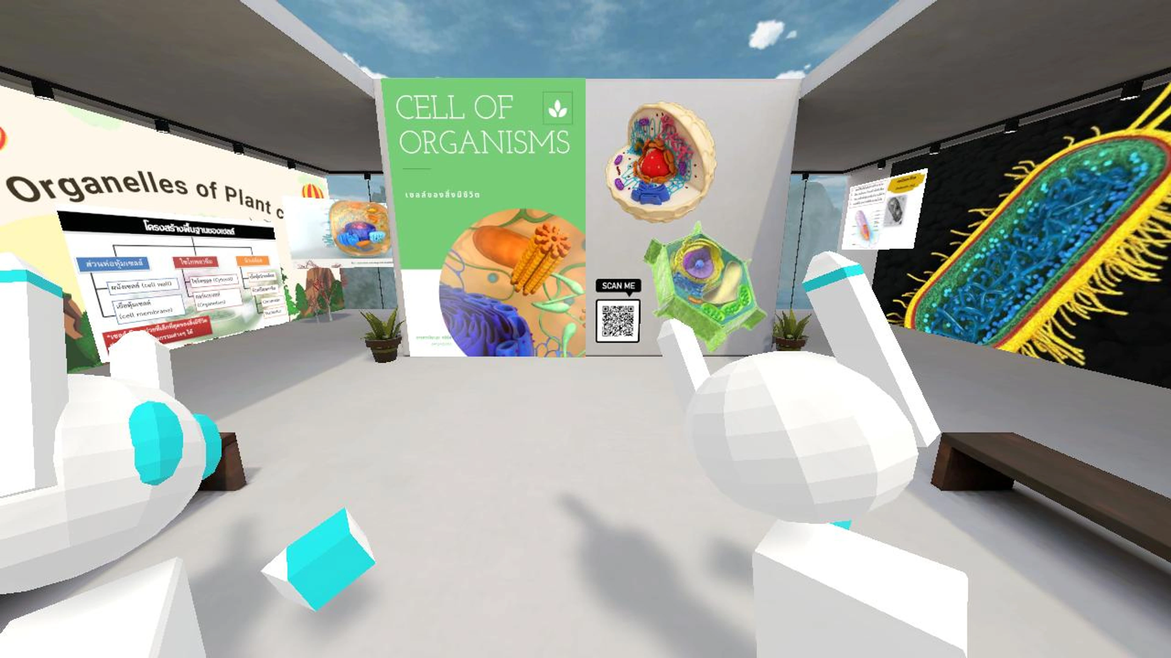 3D CELL BIOLOGY Room