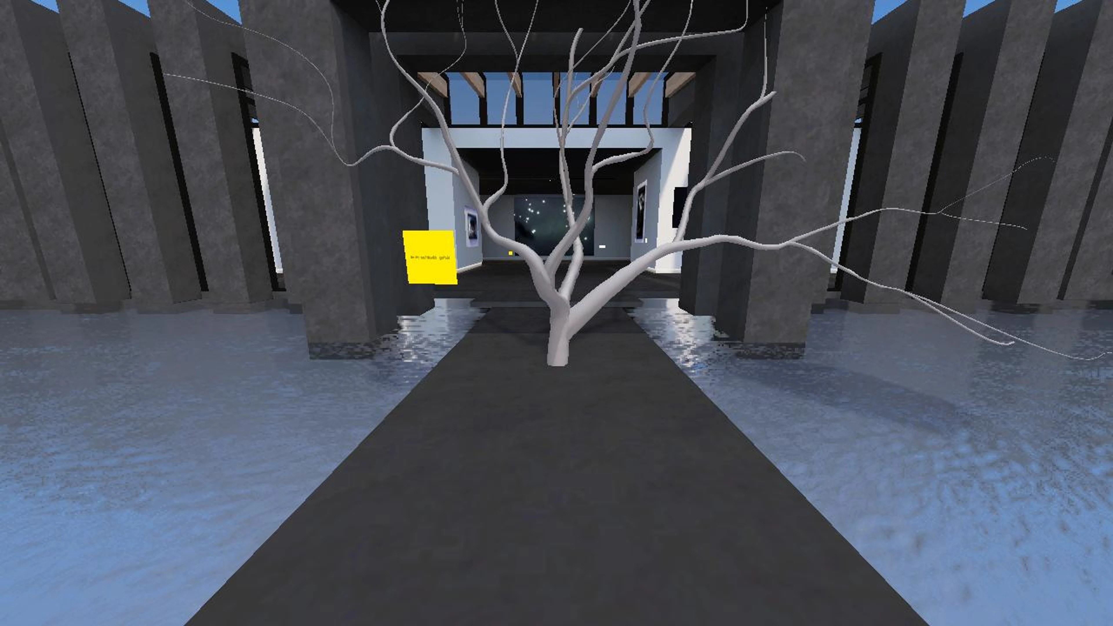 David Golzio's Nature Gallery