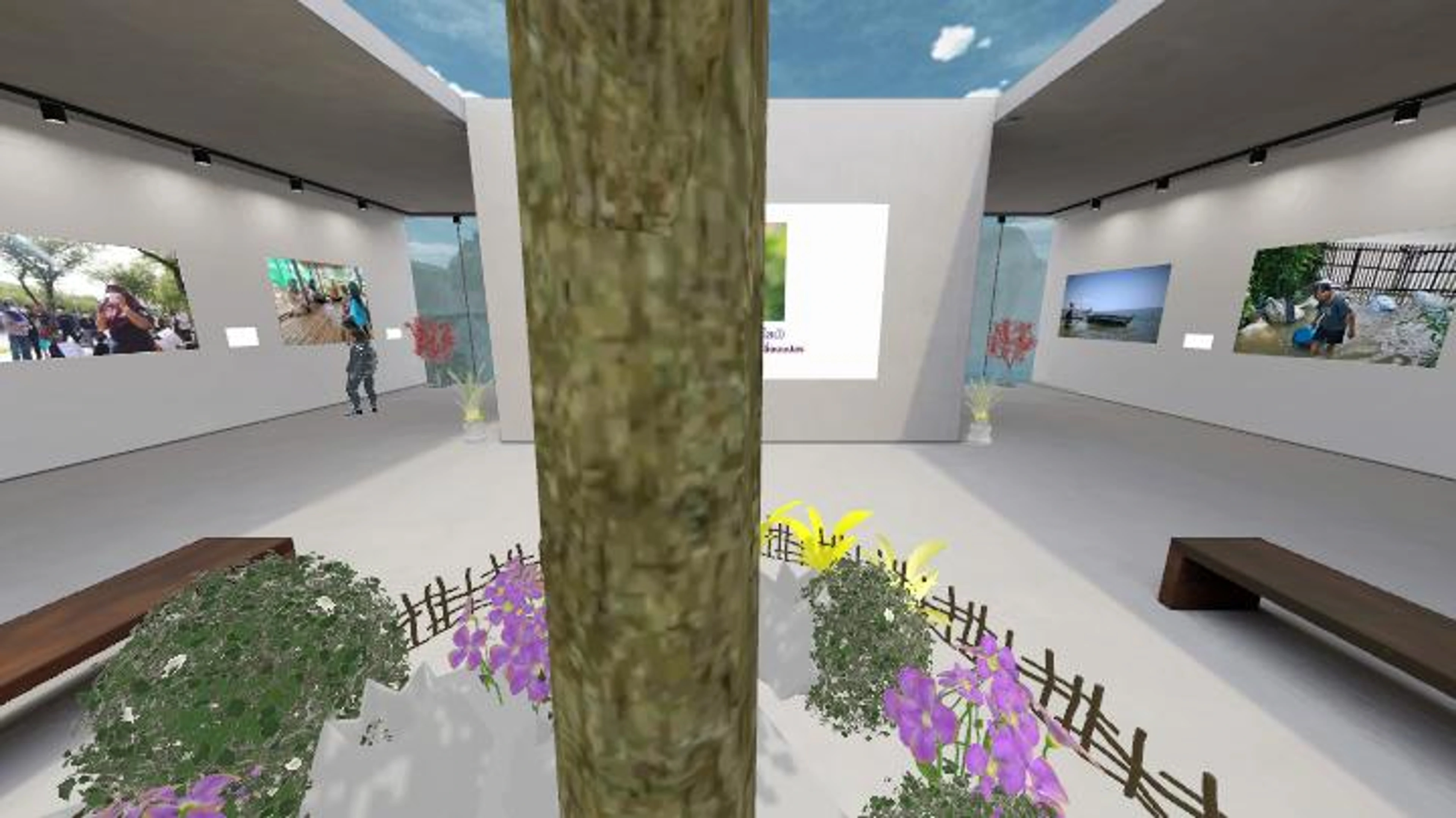  Let her photos and voices tell the story