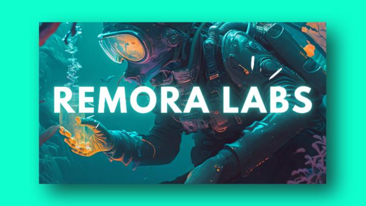 Remora Labs