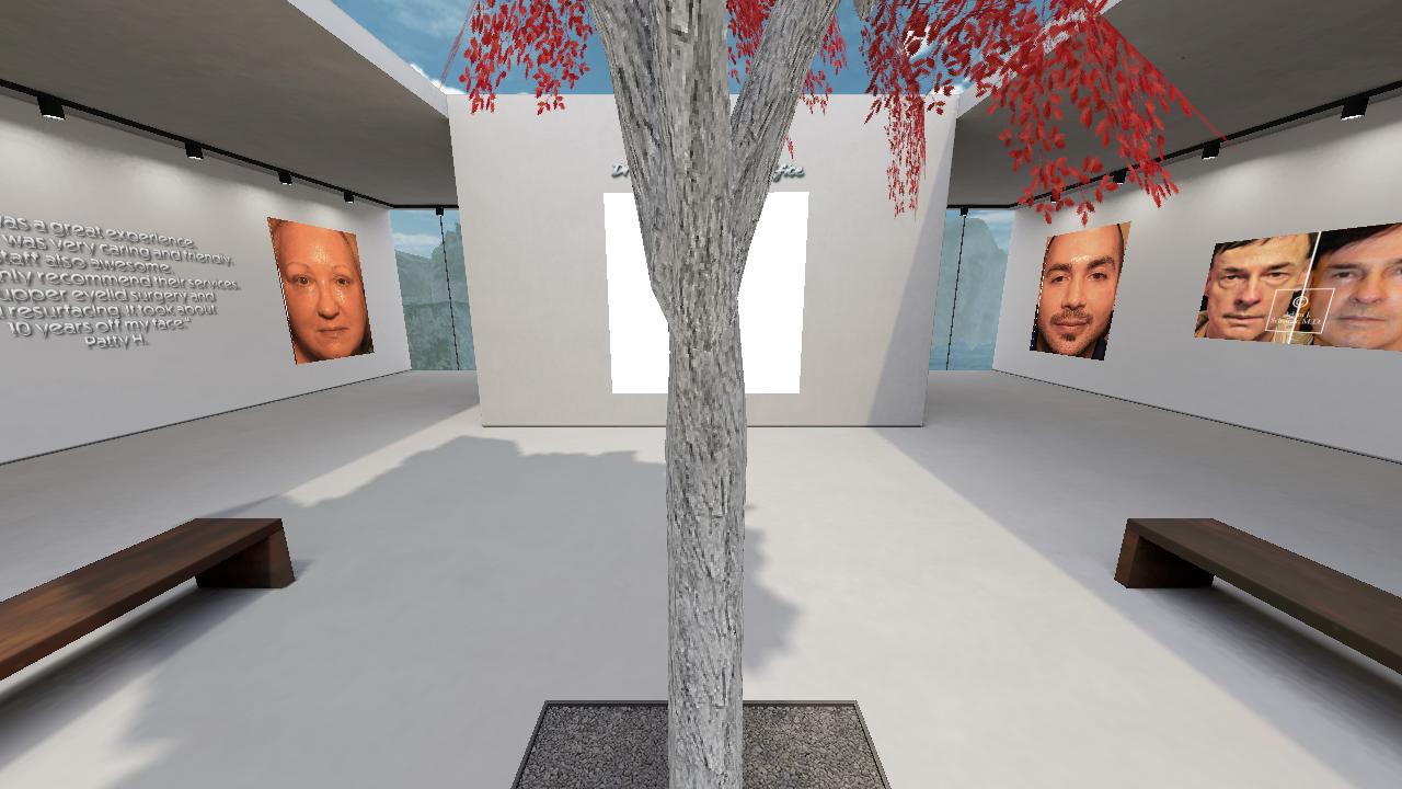 Dr. Adam Scheiner's Gallery