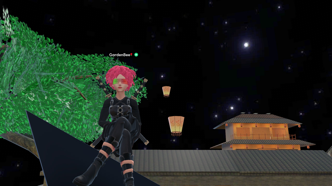 Ninja Training Village!