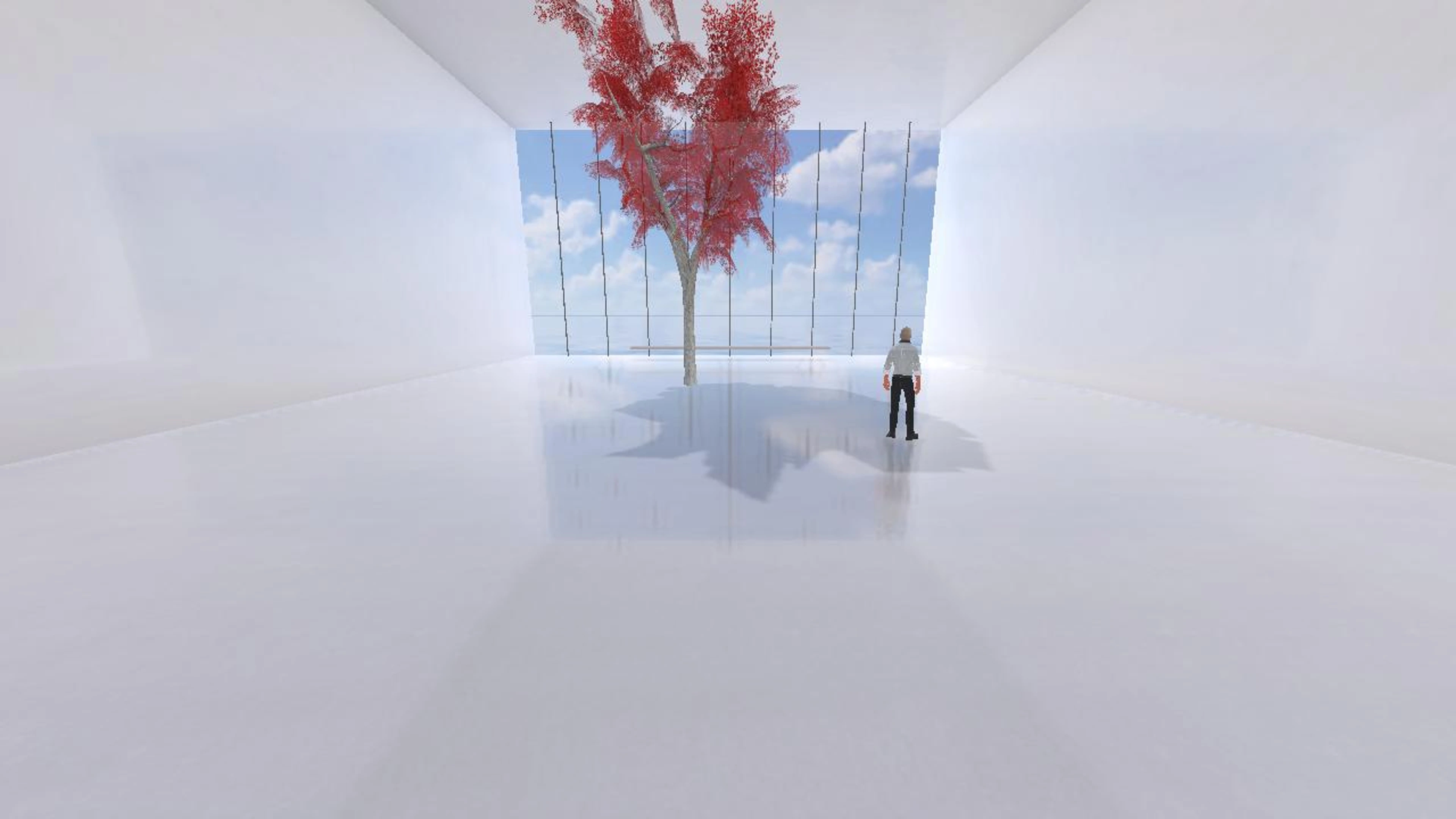 Multimedia Web