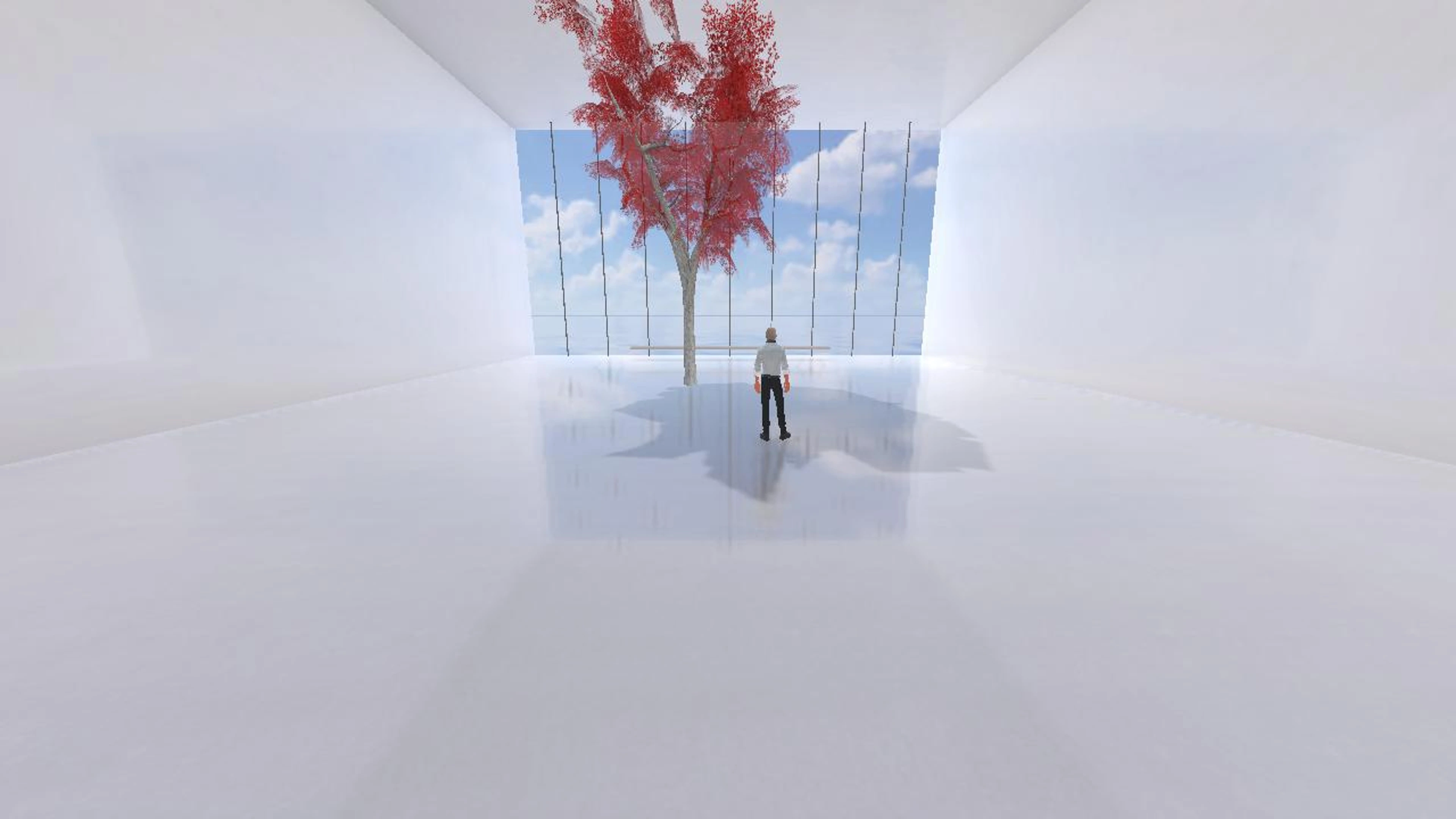Multimedia Web
