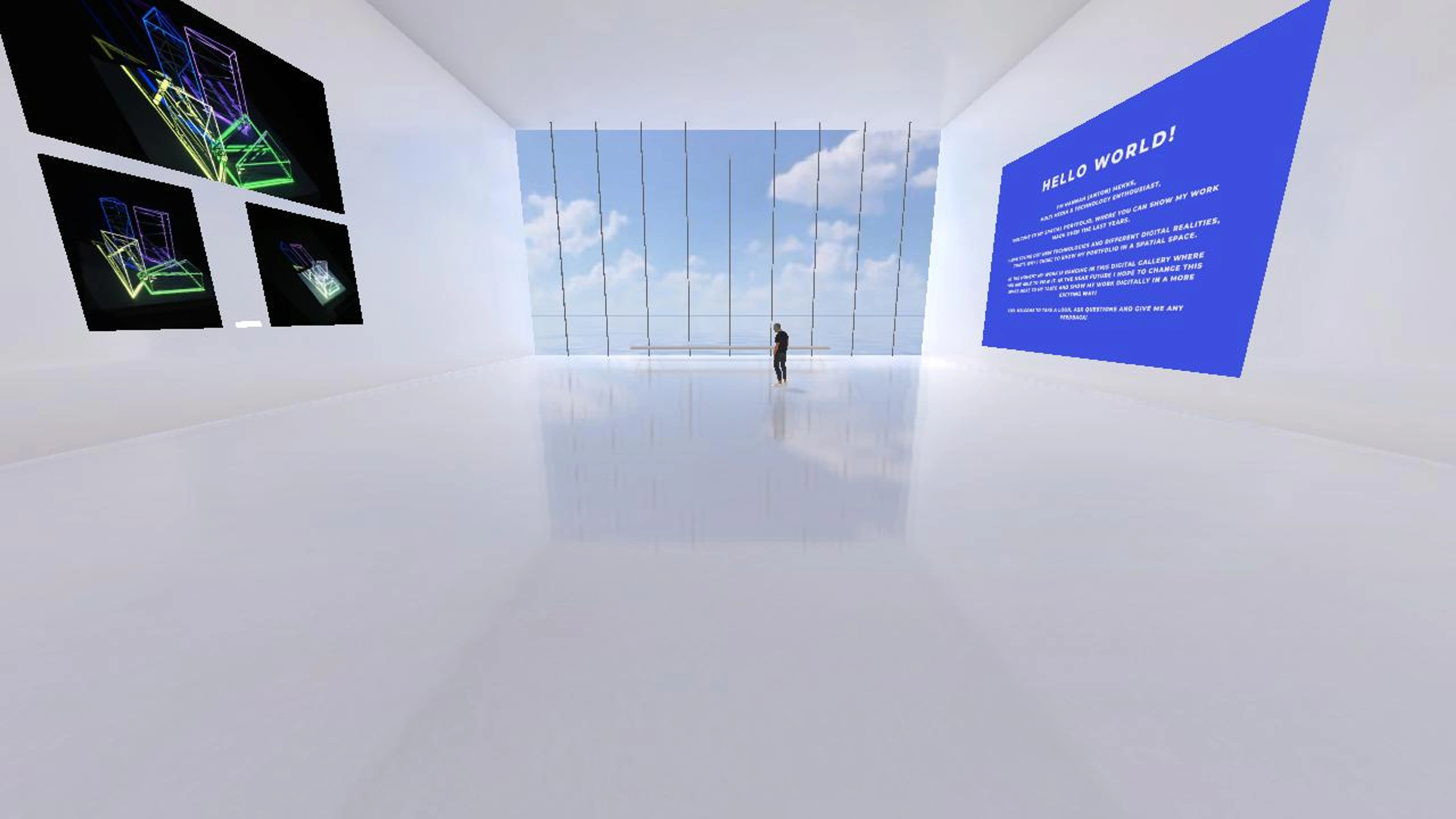 HannahAnton's Portfolio