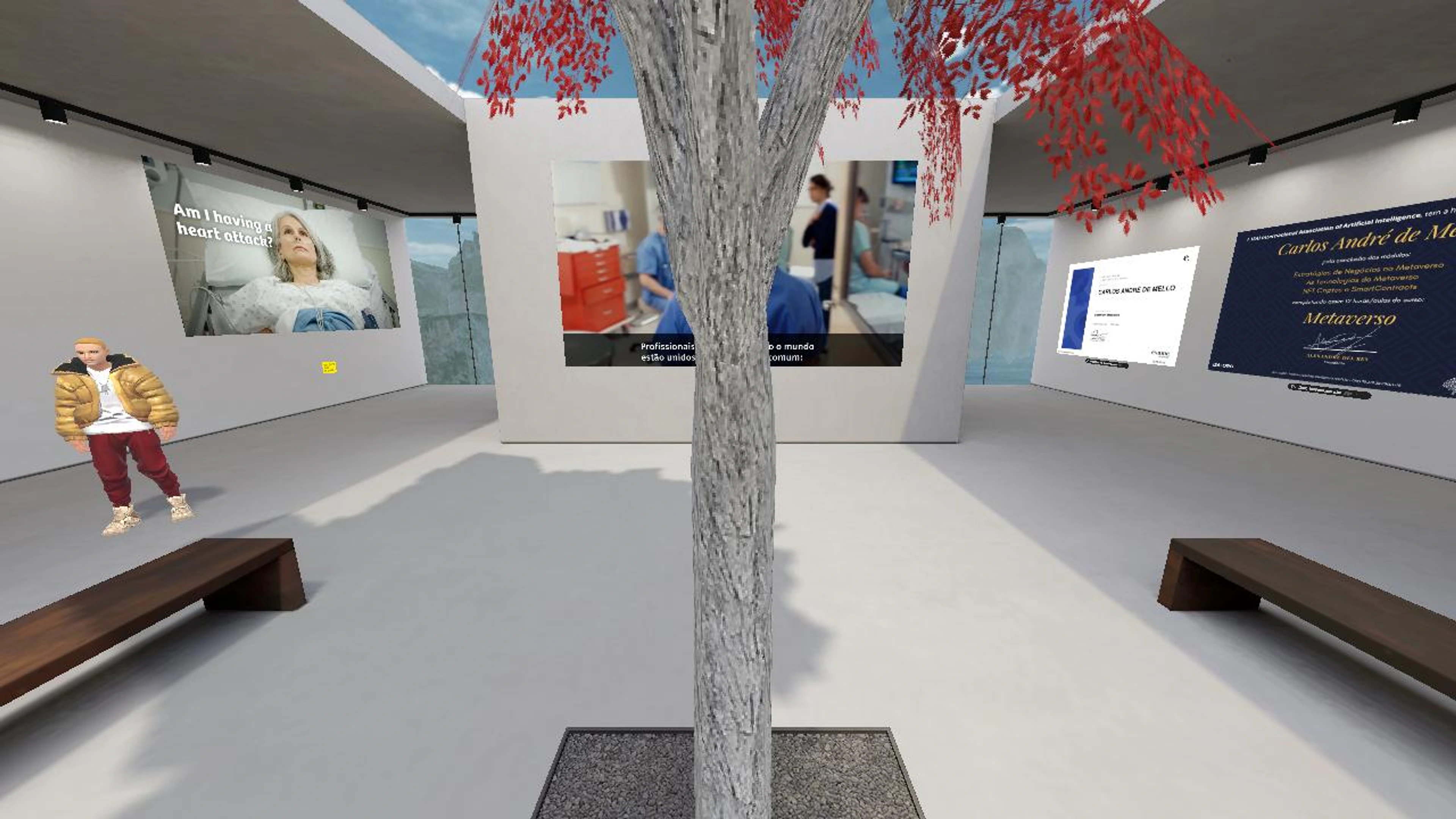 Carlos Mello's Hi-Fi HEALTHINEERS Space