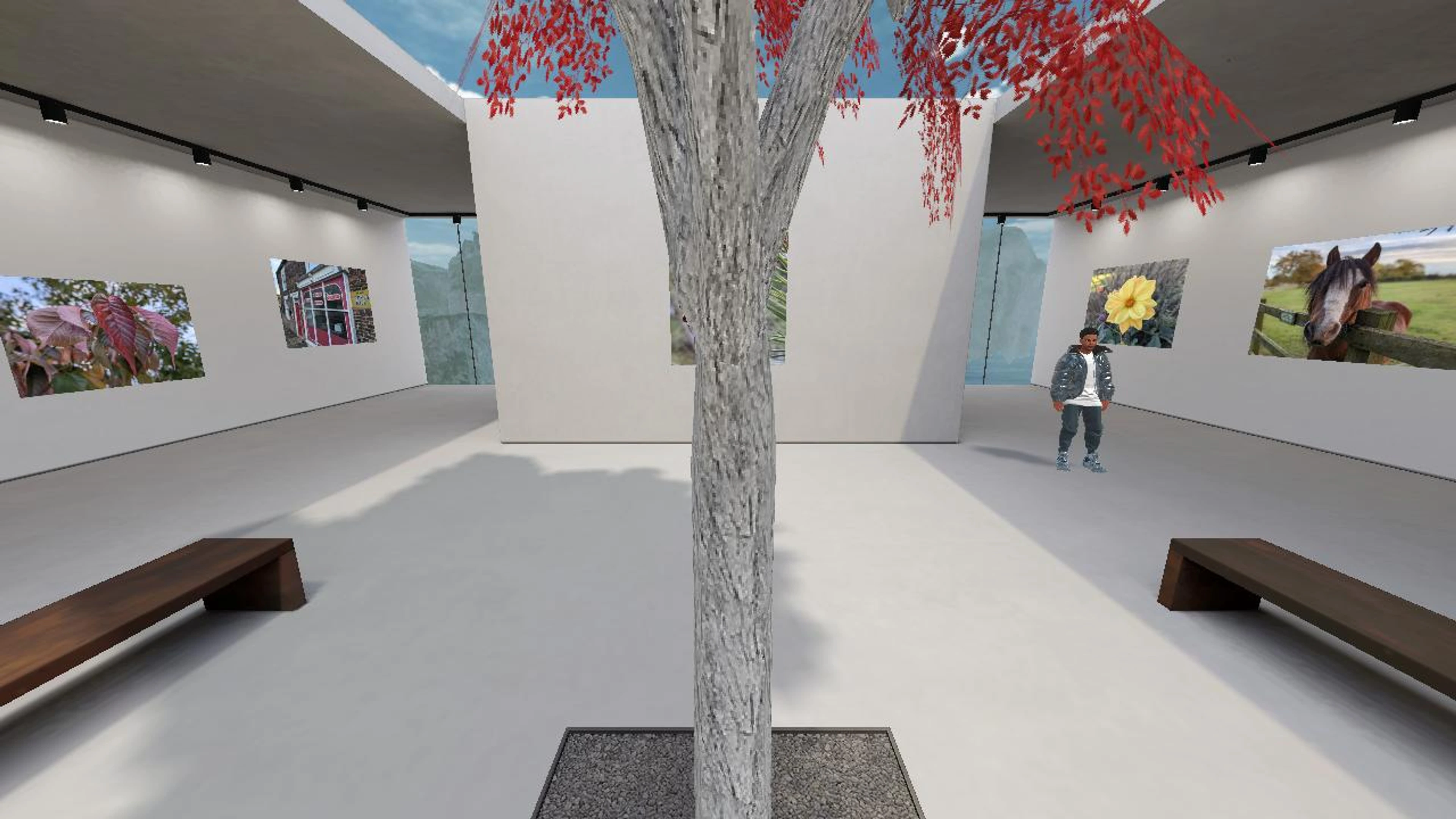 Pete's Pixel Pro Gallery