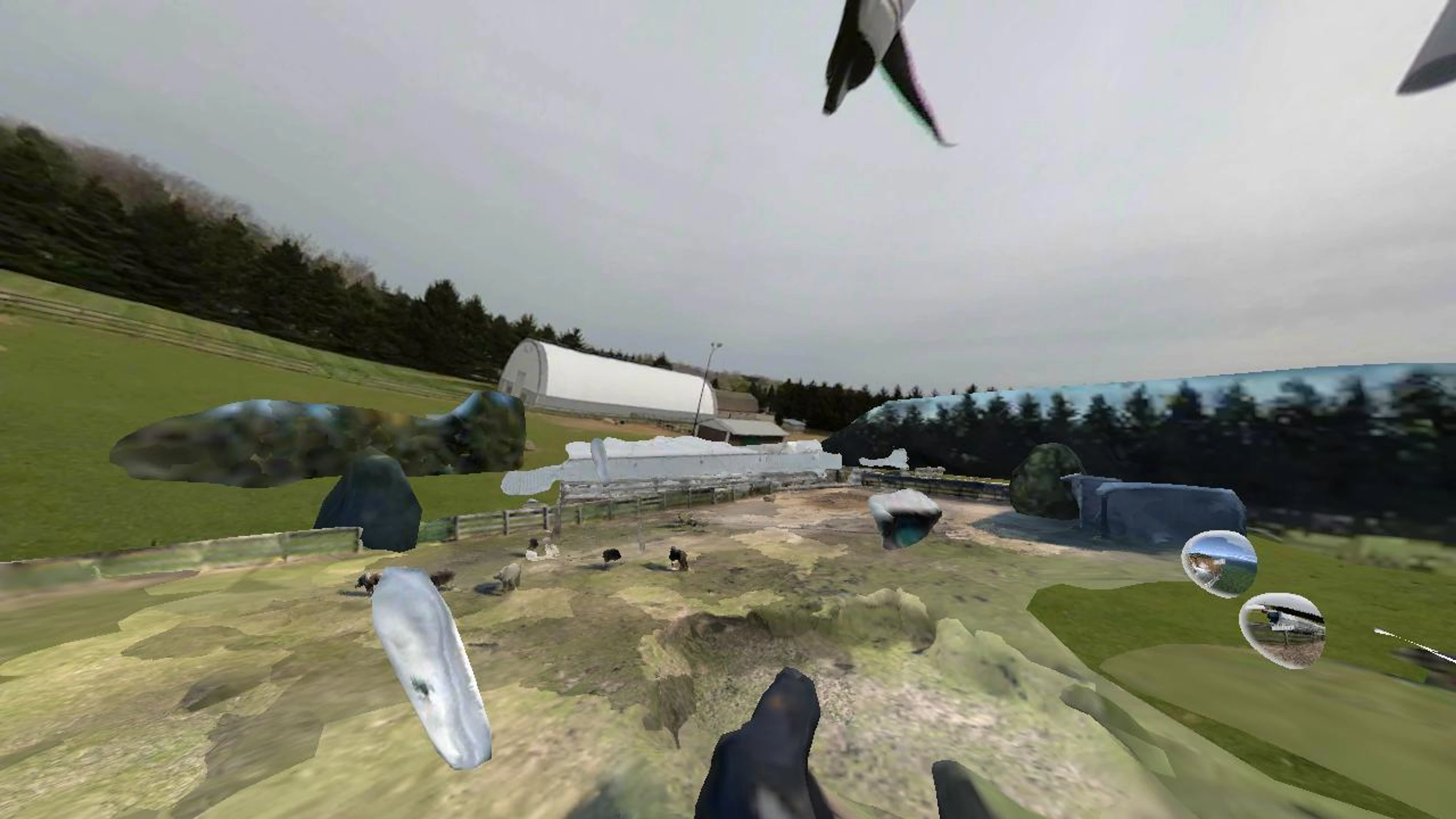 backpasture