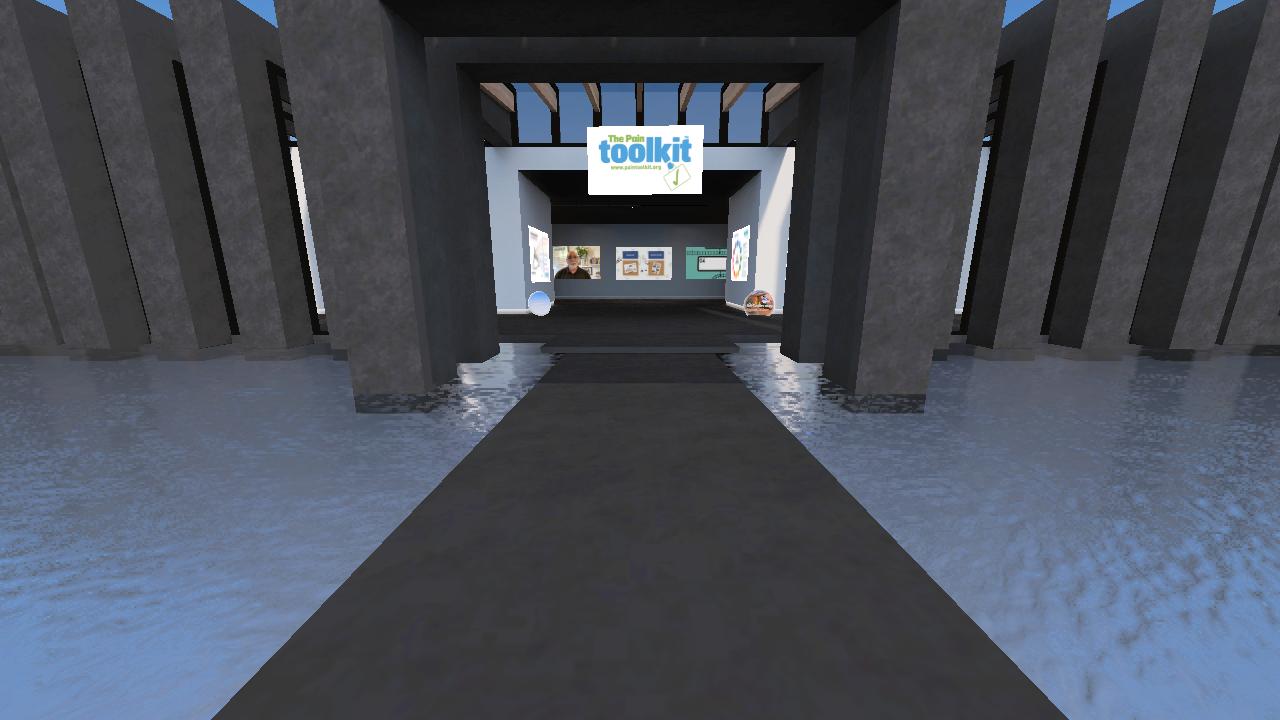 Pain Toolkit Hangout