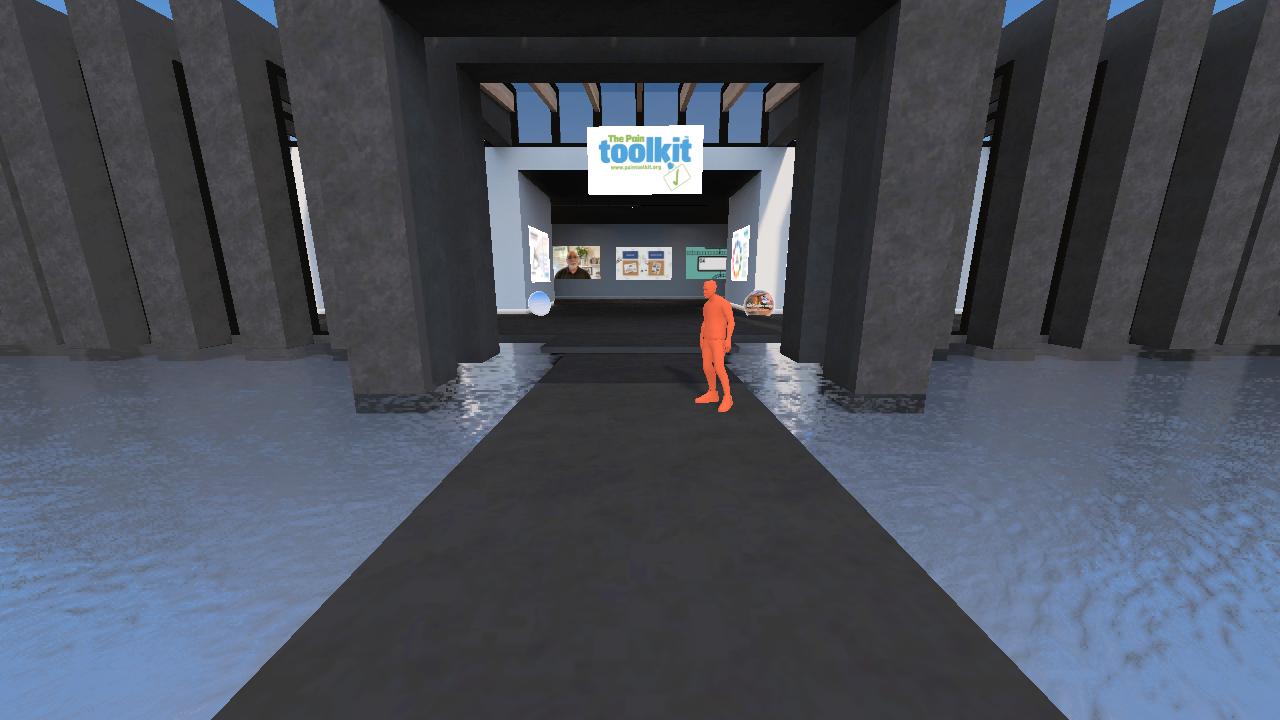 Pain Toolkit Hangout