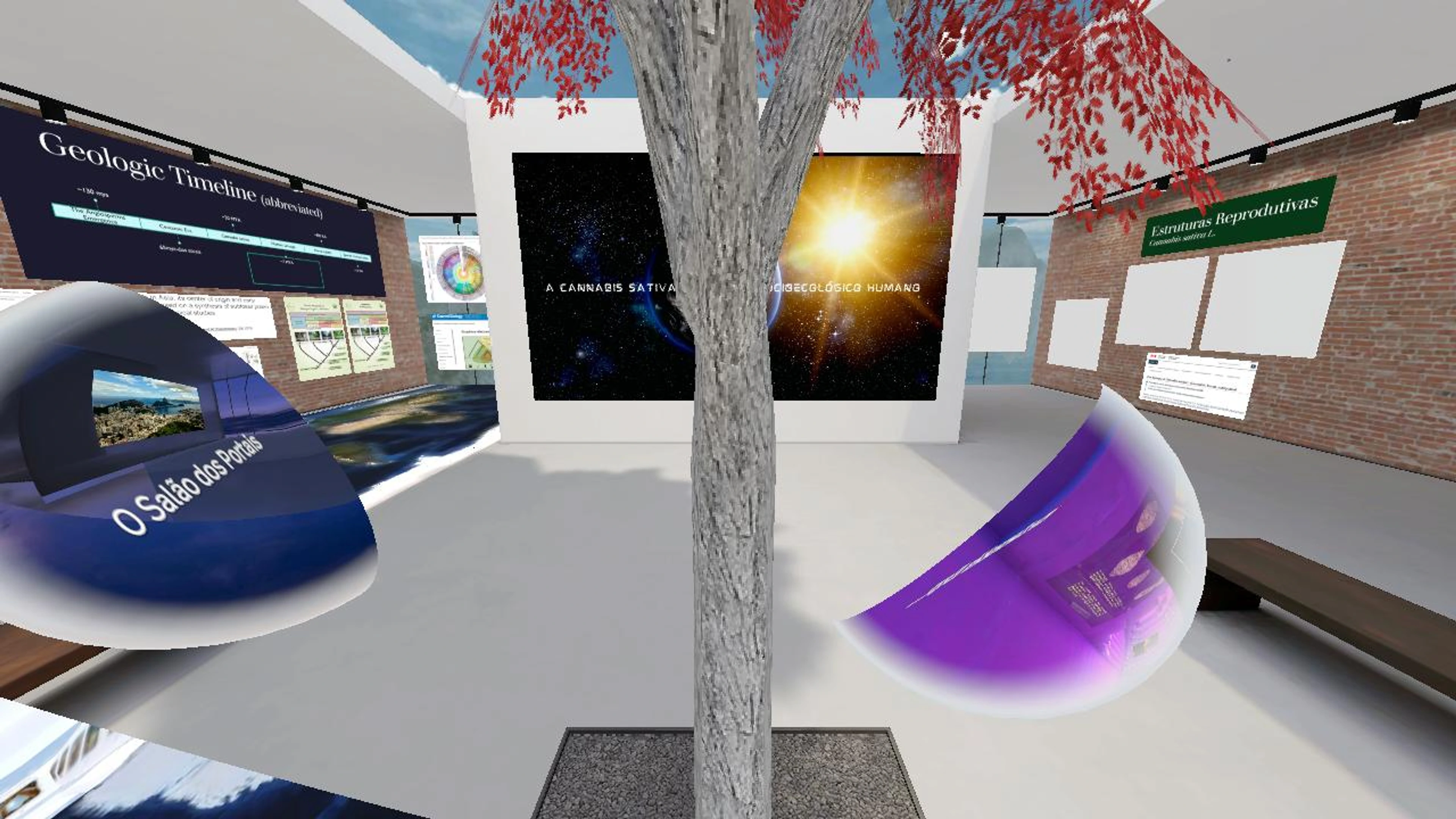 Cannabis sativa - Botânica | Plant Biology - AromaCann Brasil