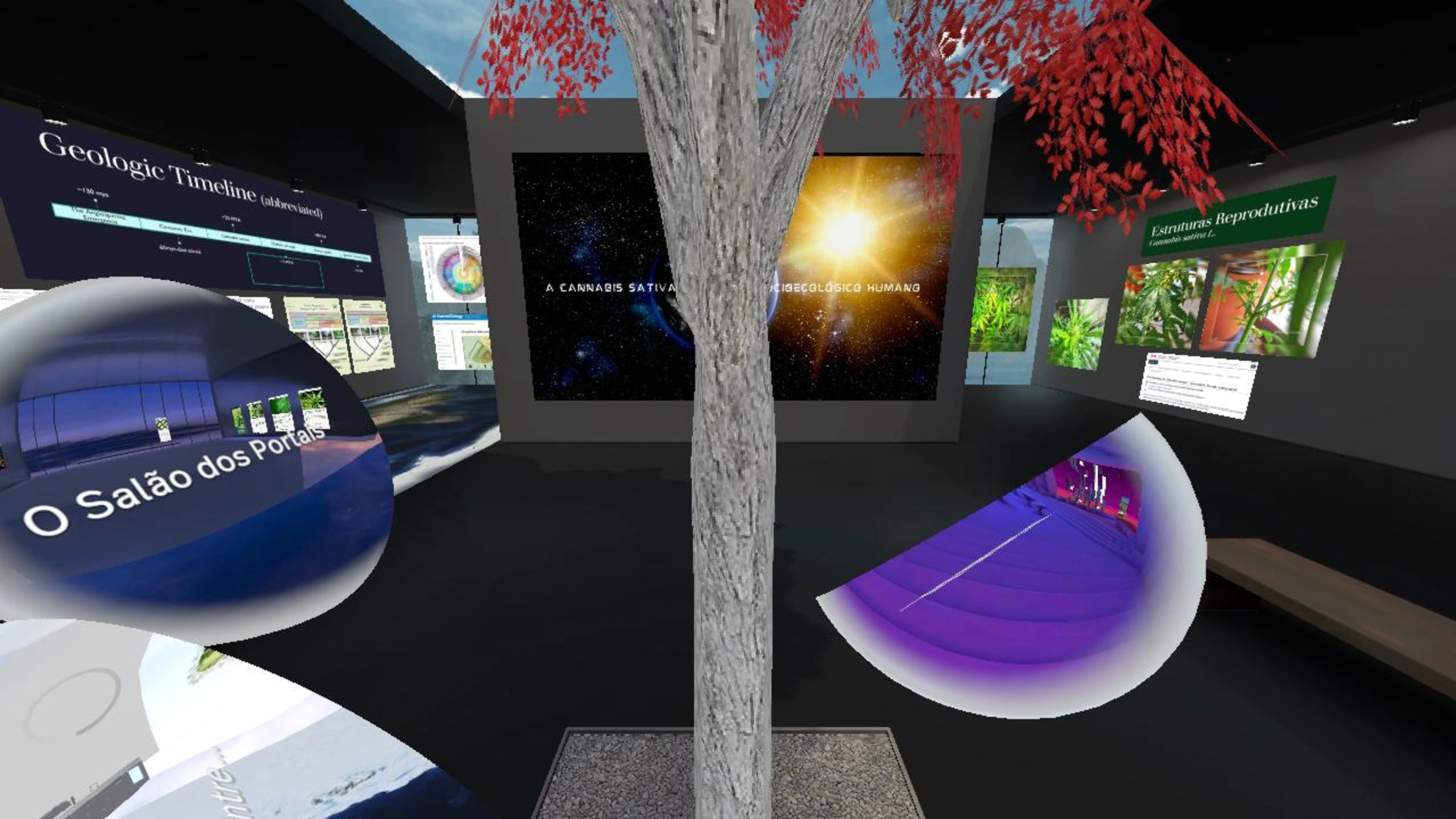 Cannabis sativa - Botânica | Plant Biology - AromaCann Brasil