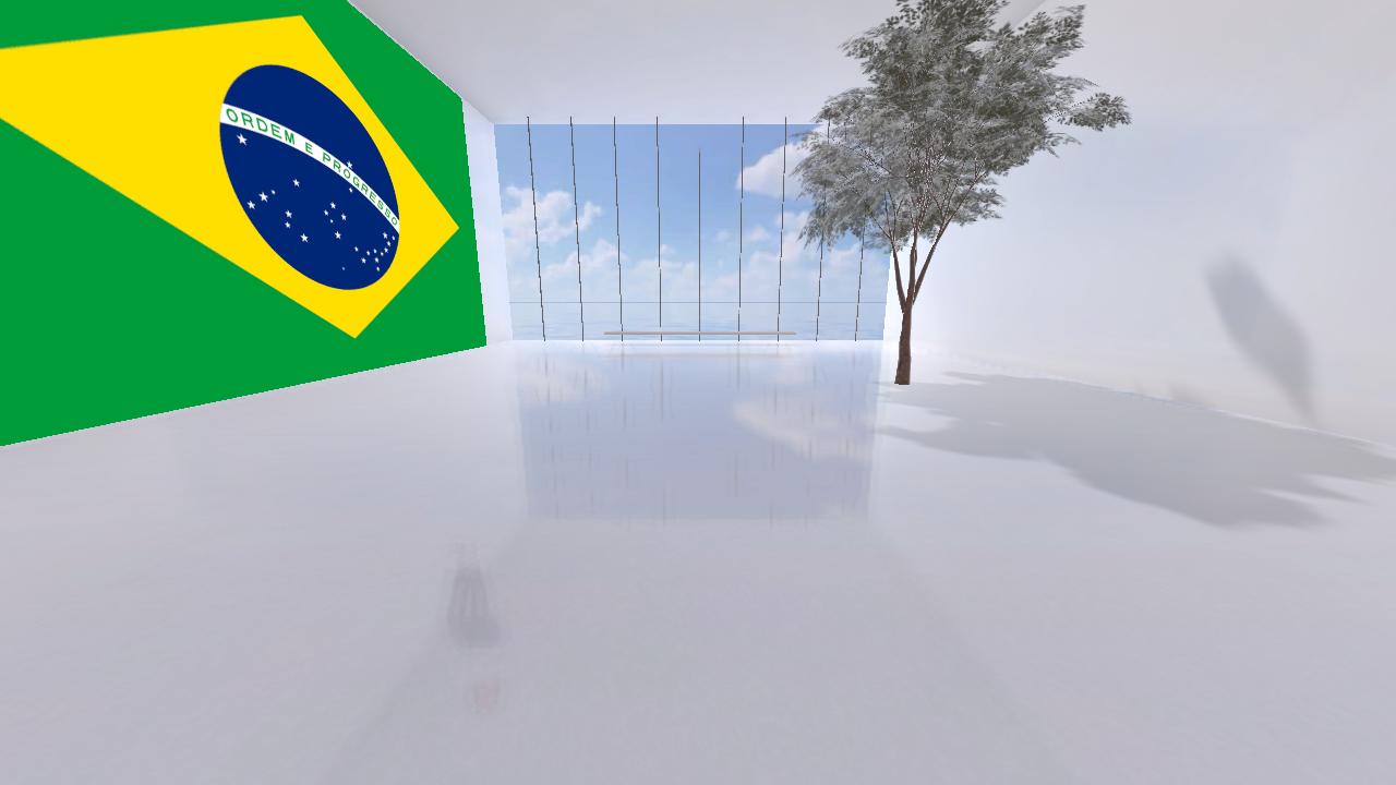 MathemART: DaVinci Face - Brazilian Collection