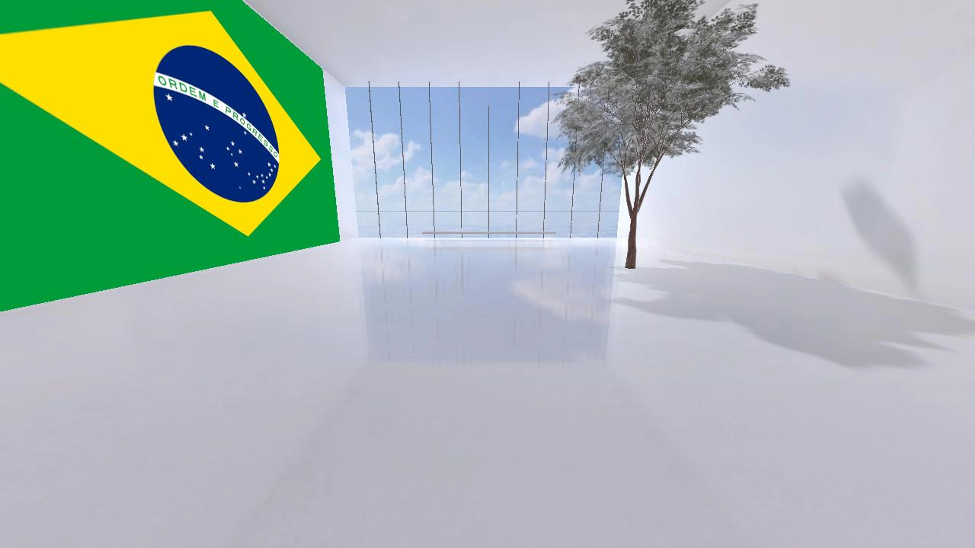 MathemART: DaVinci Face - Brazilian Collection