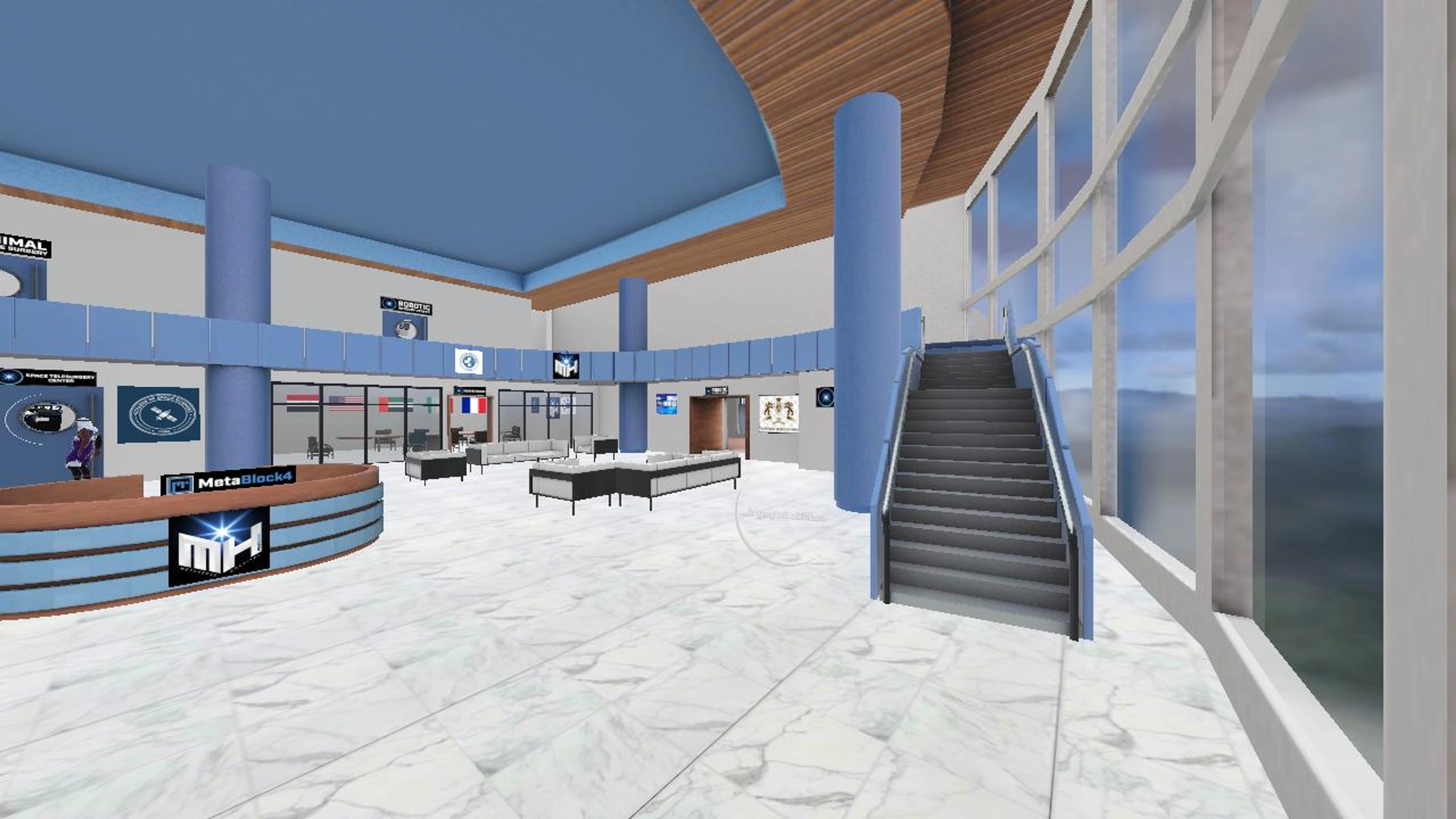 Metaverse Surgical Hospital