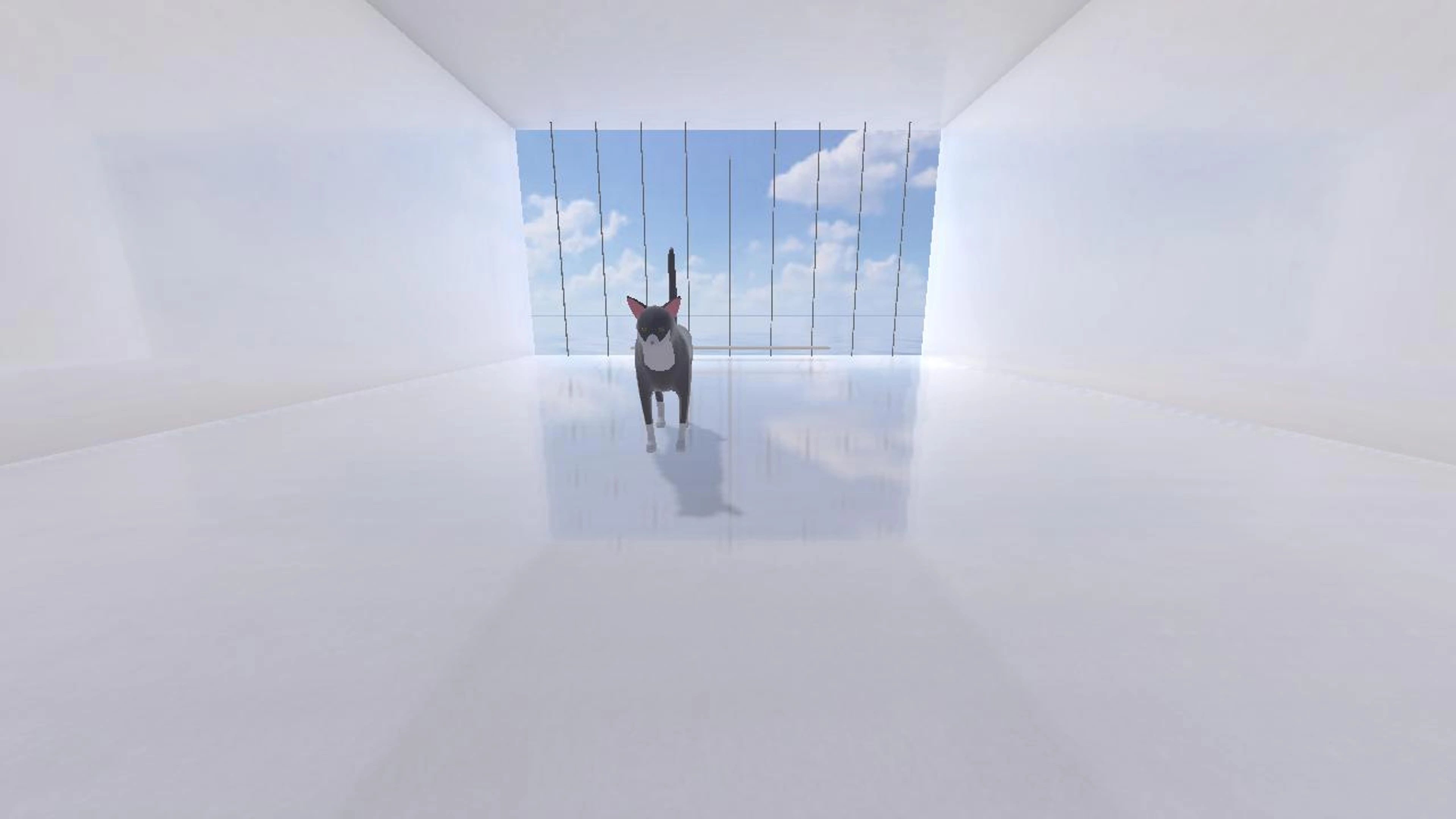 Imagination library