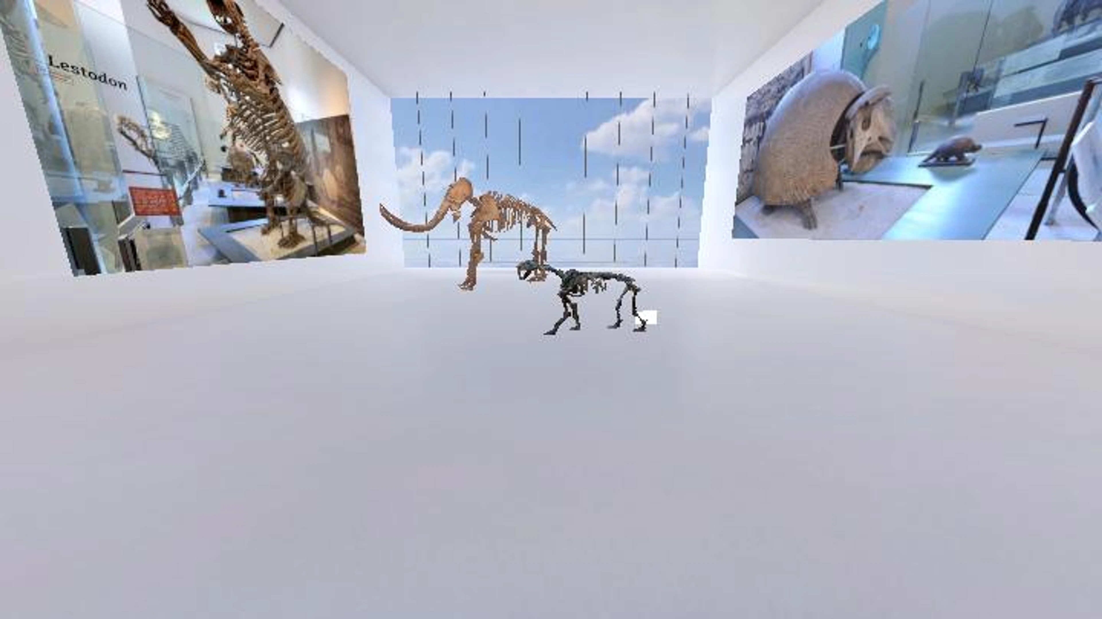 Geoscience 204 project