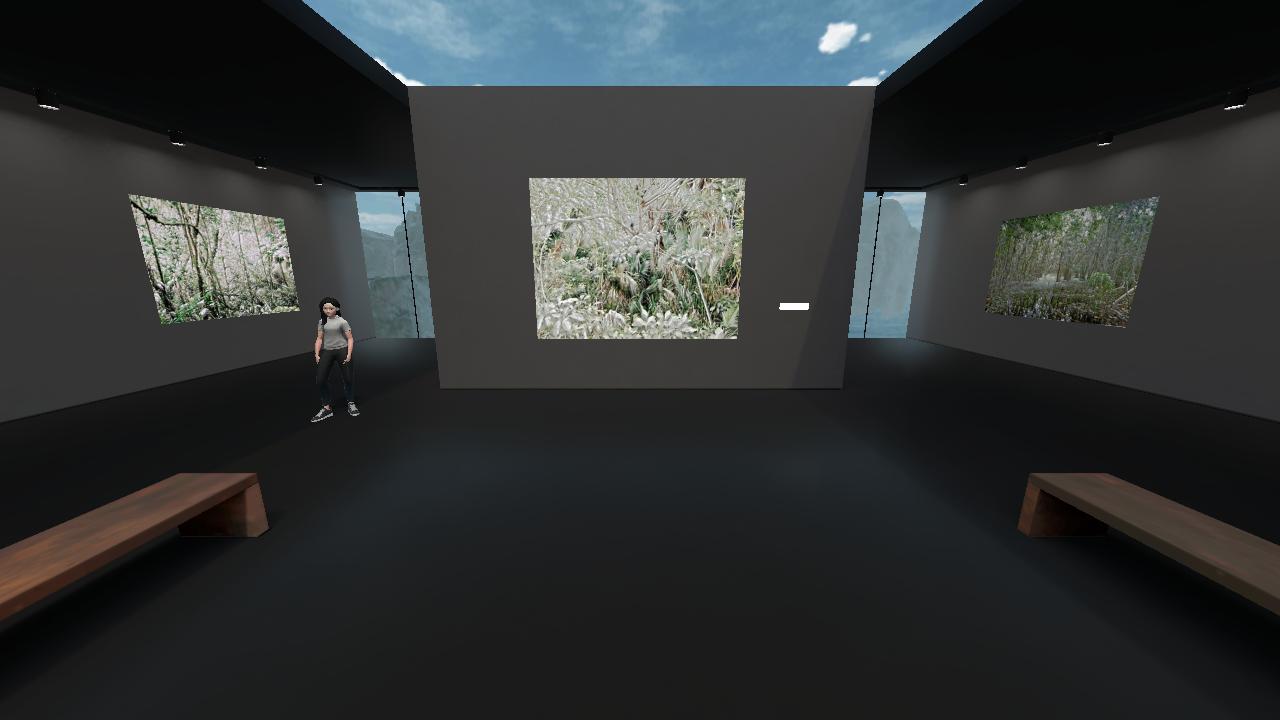 GALLERY CALMA VISIBLE / ONESELF