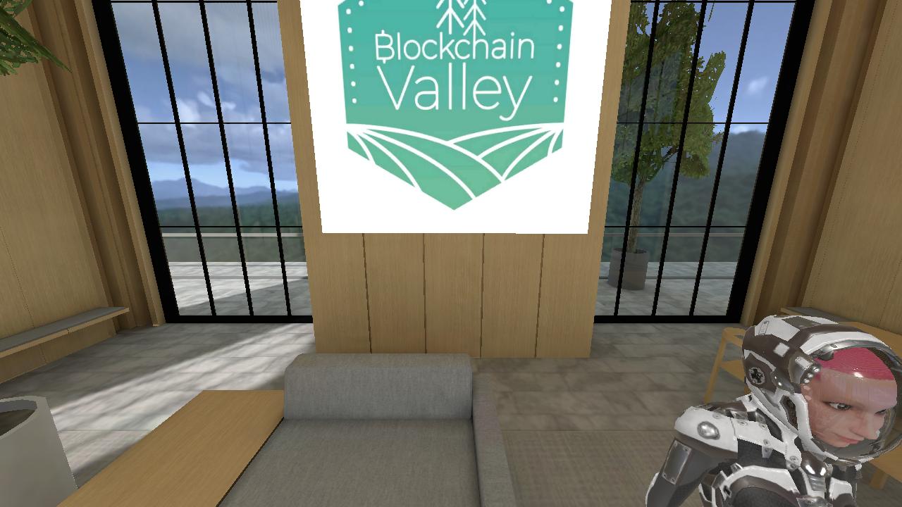 Blockchain Valley 