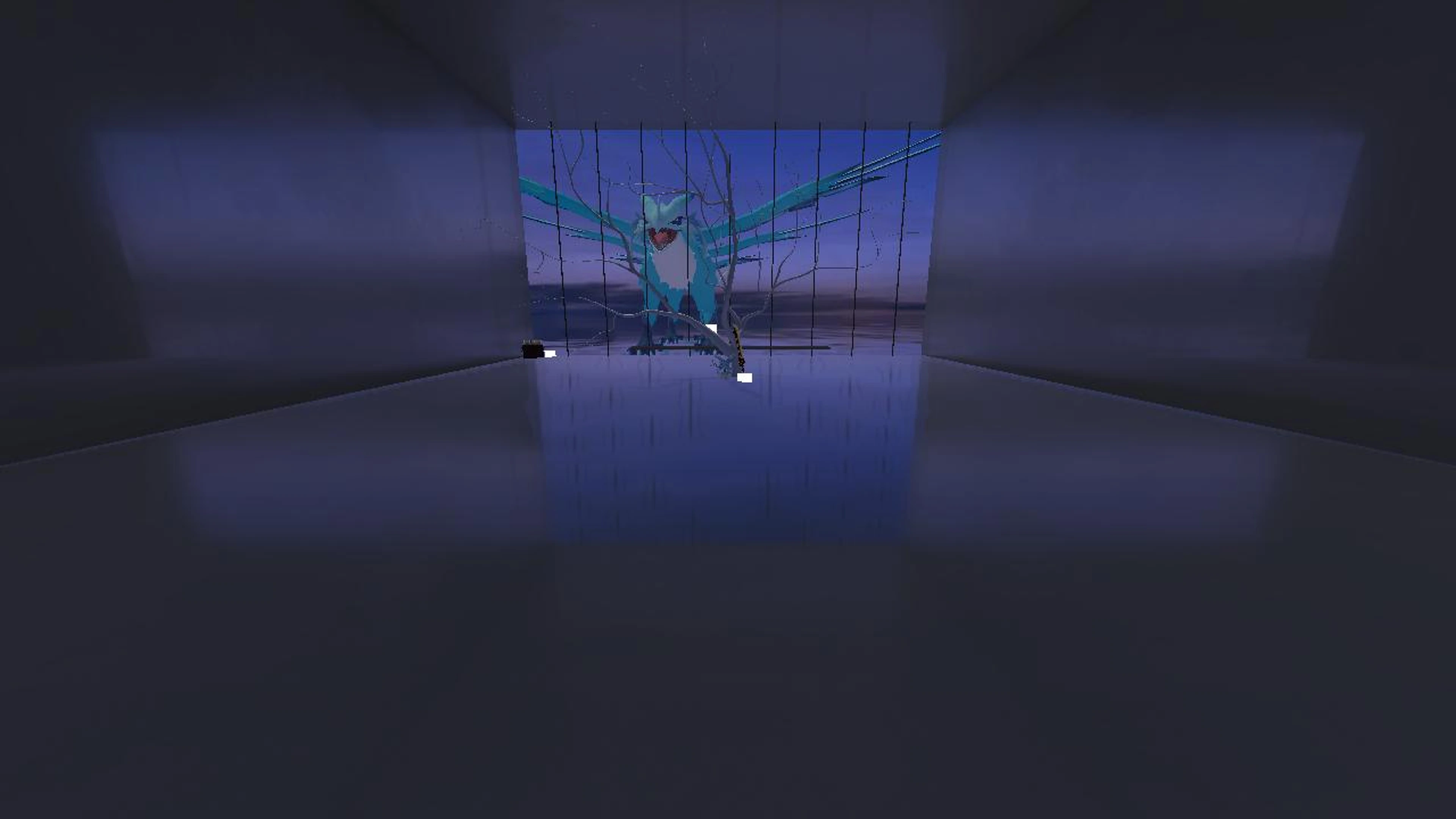 The XD room