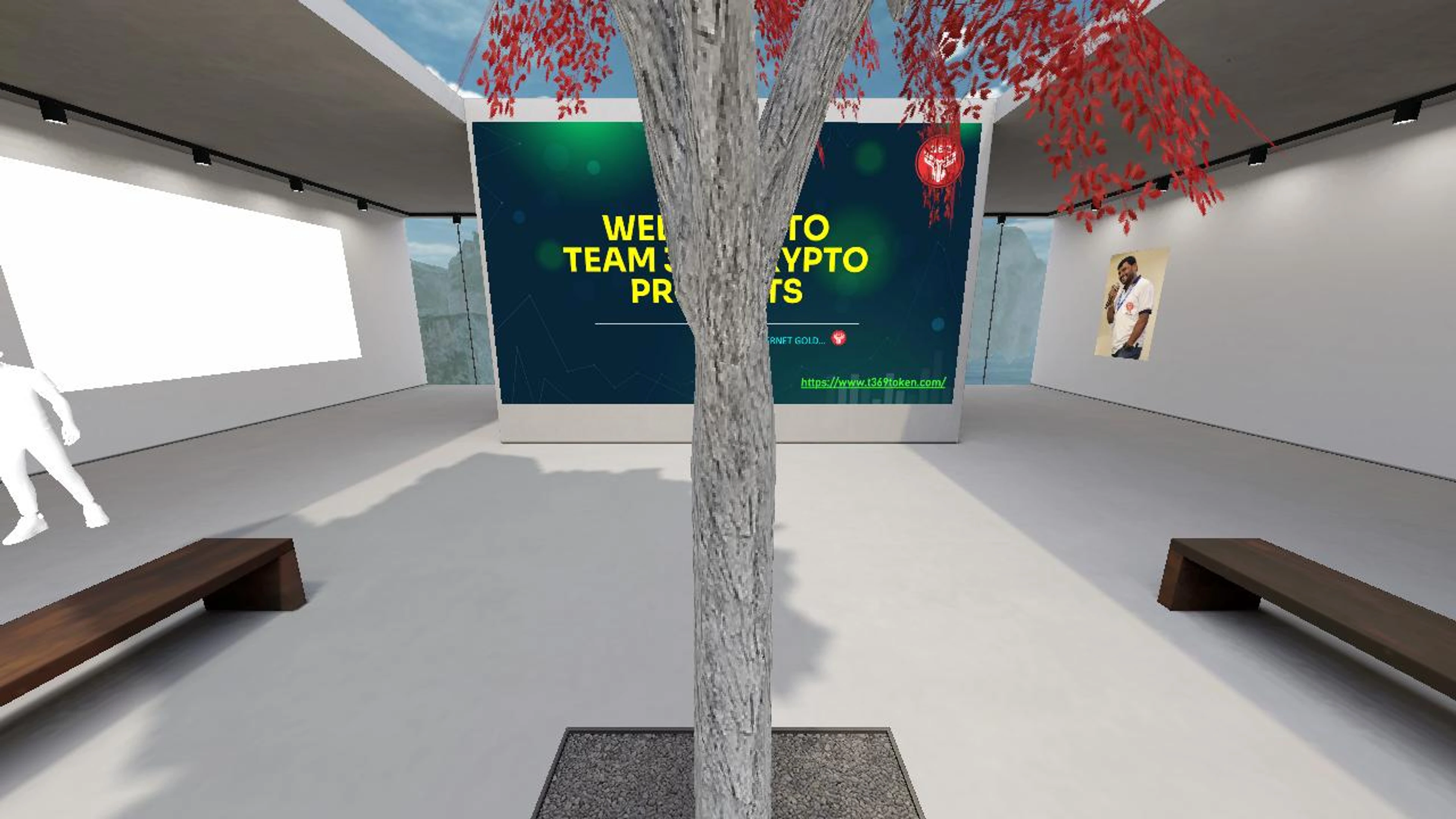 TEAM 369 META GALLERY