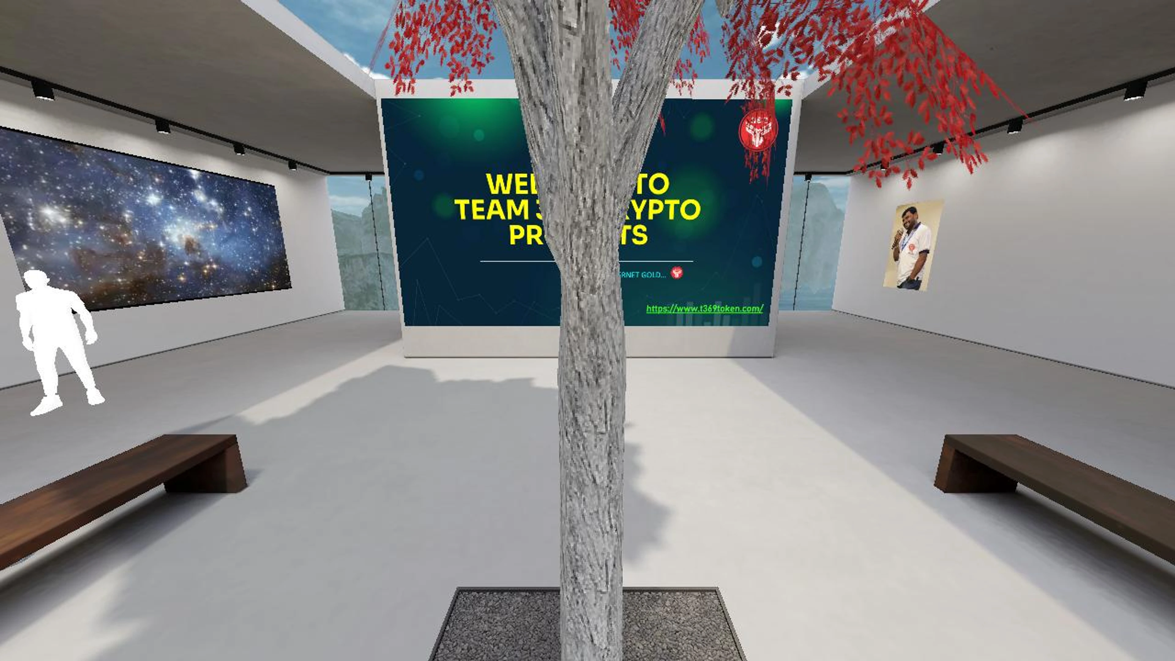 TEAM 369 META GALLERY