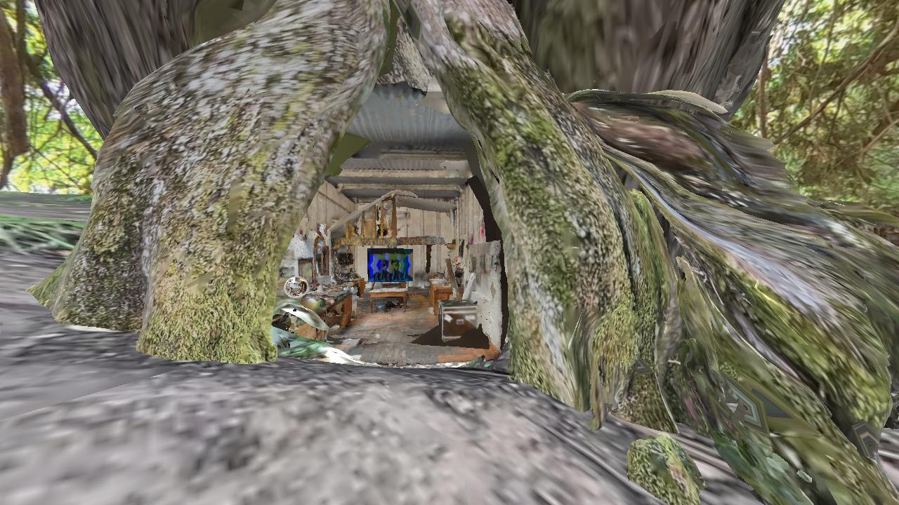 Treetrunk