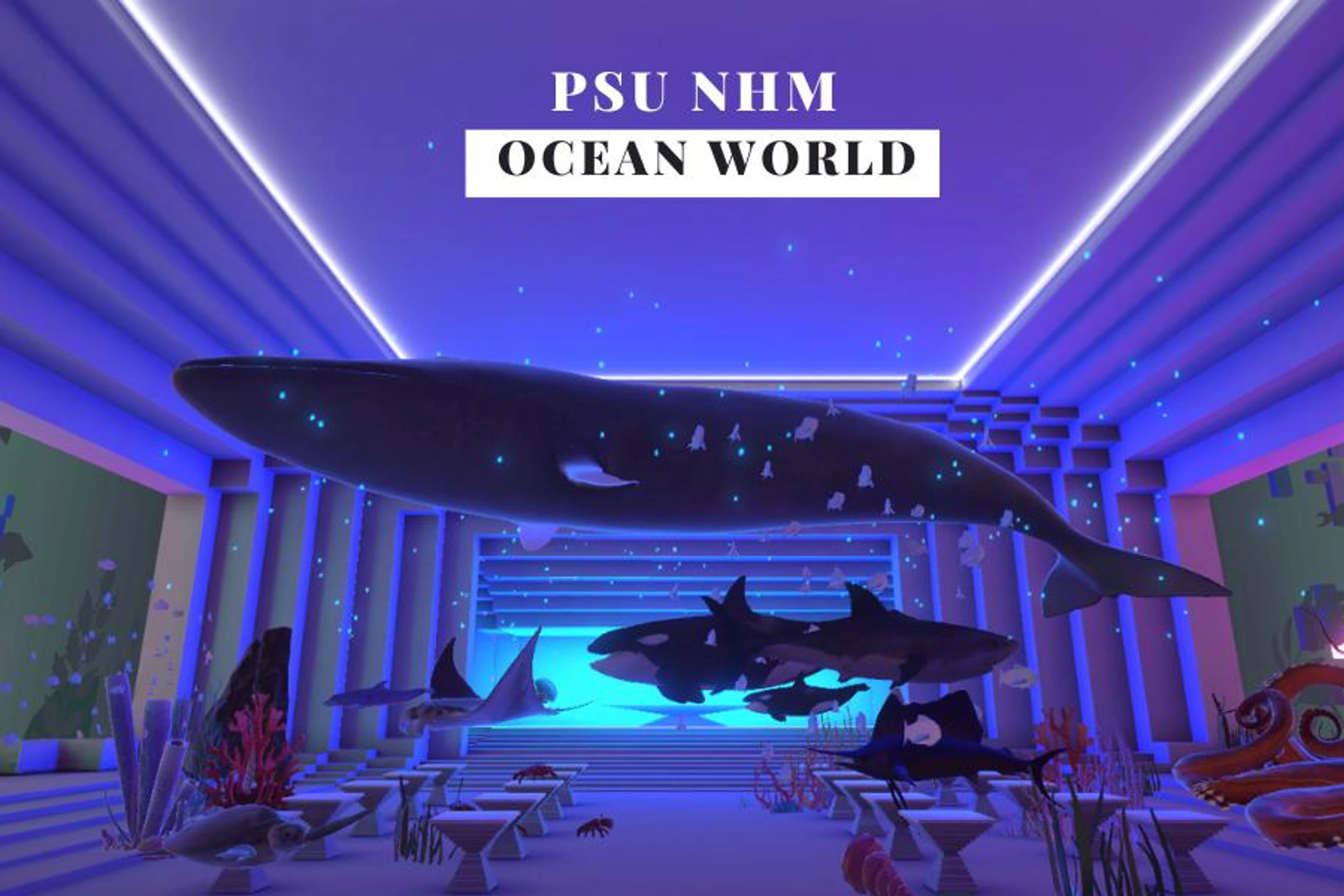 PSU NHM OCEAN WORLD