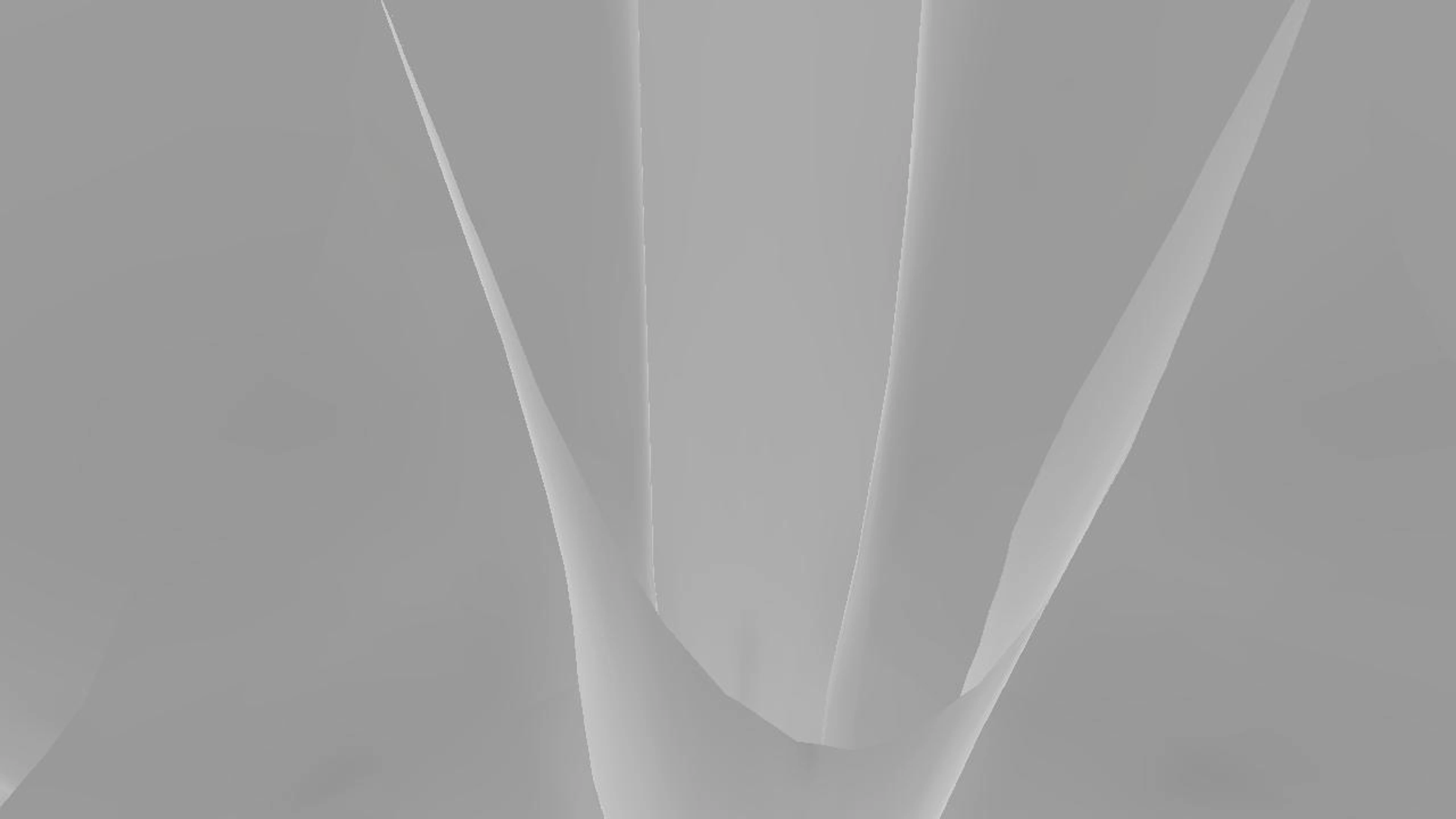 corpo umano