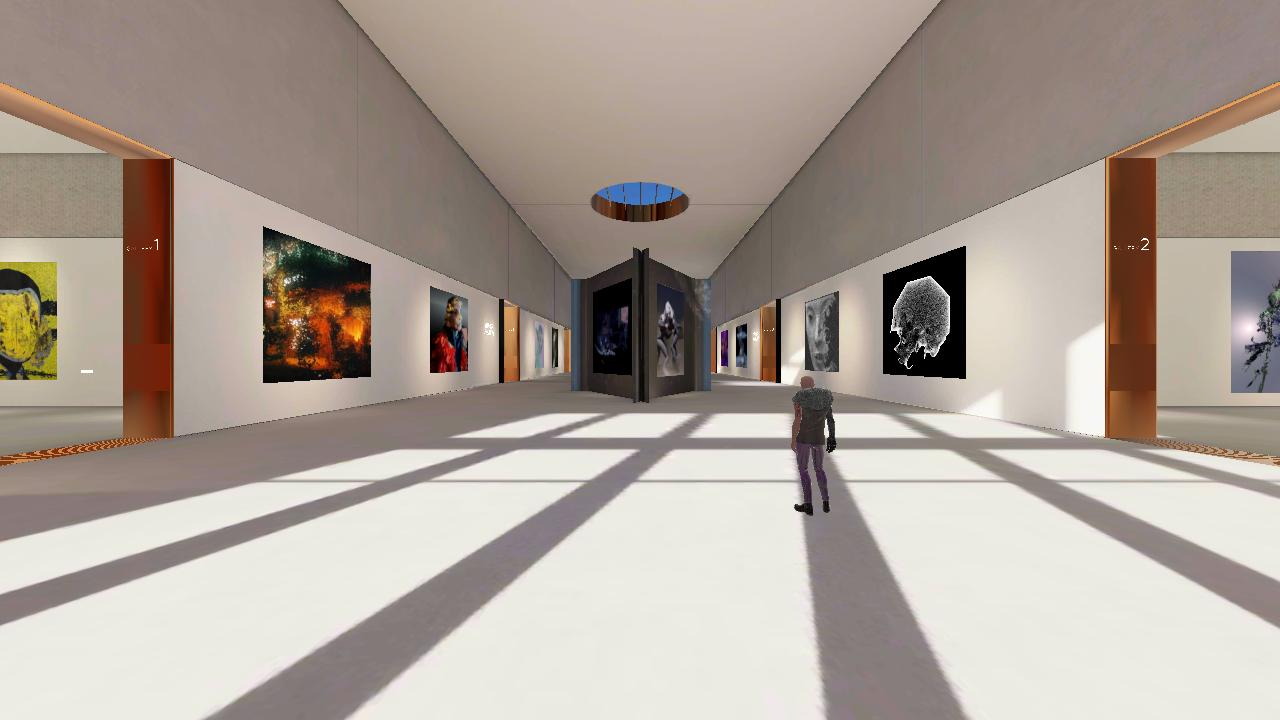 Vertis Gallery