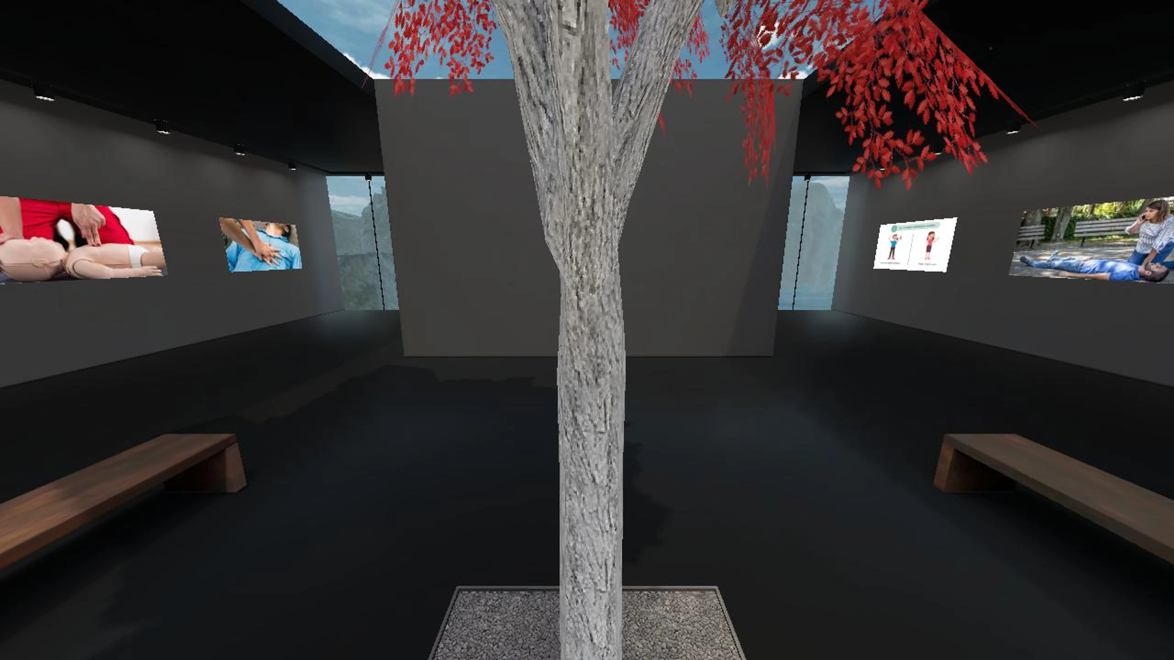 PARAMA's Immersive Scene