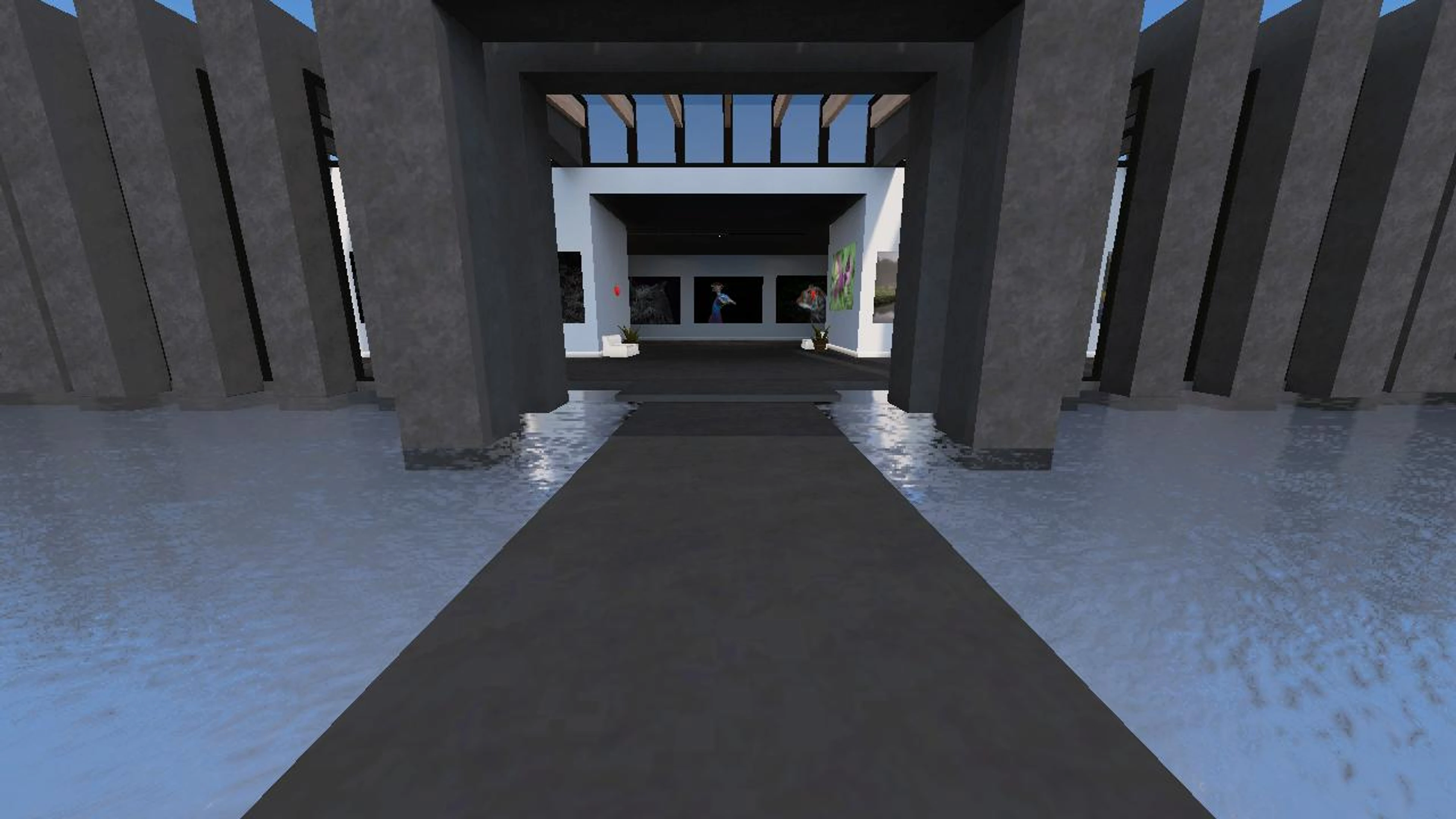 FotoGraaGHanneke's Gallery