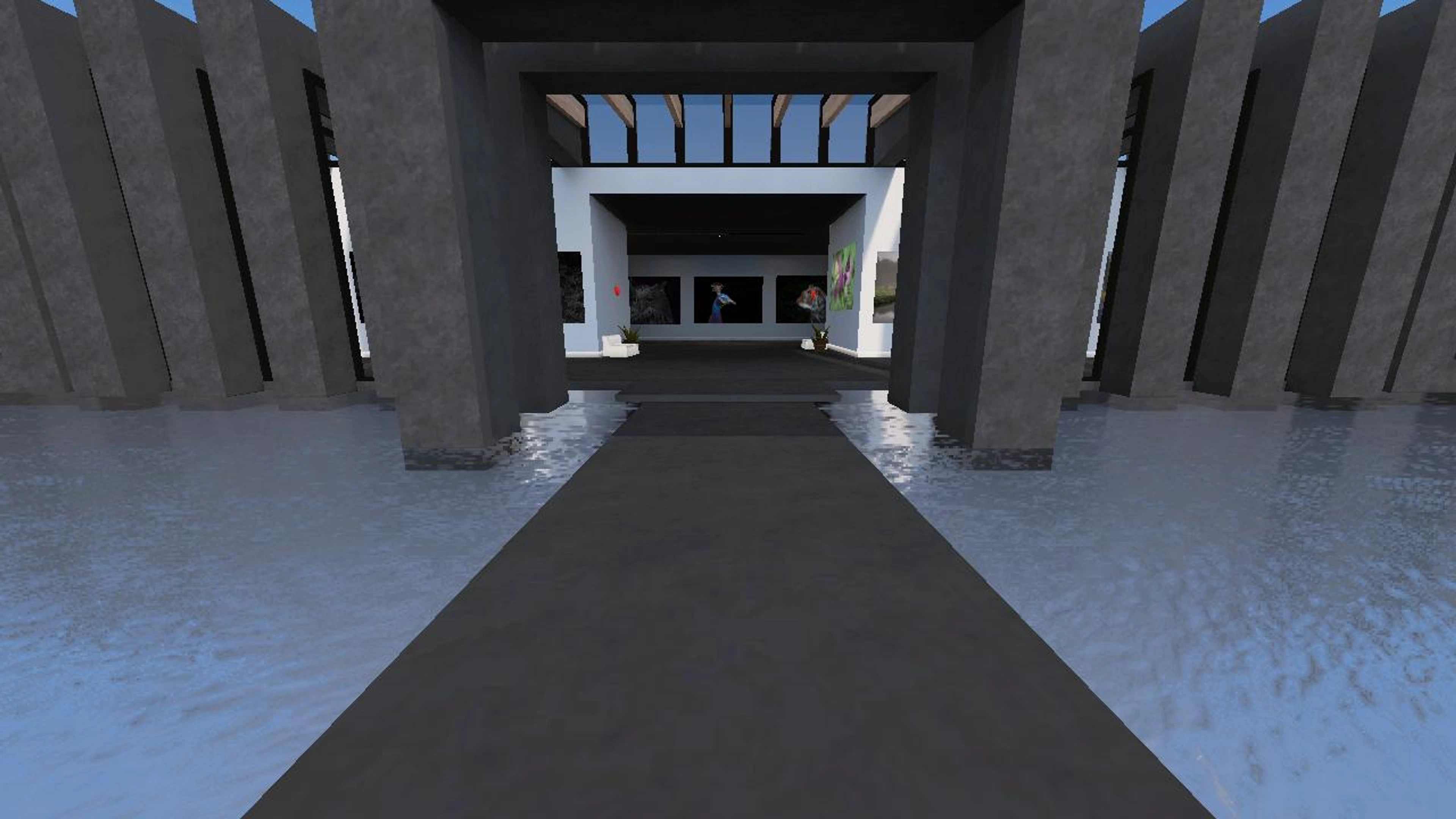 FotoGraaGHanneke's Gallery