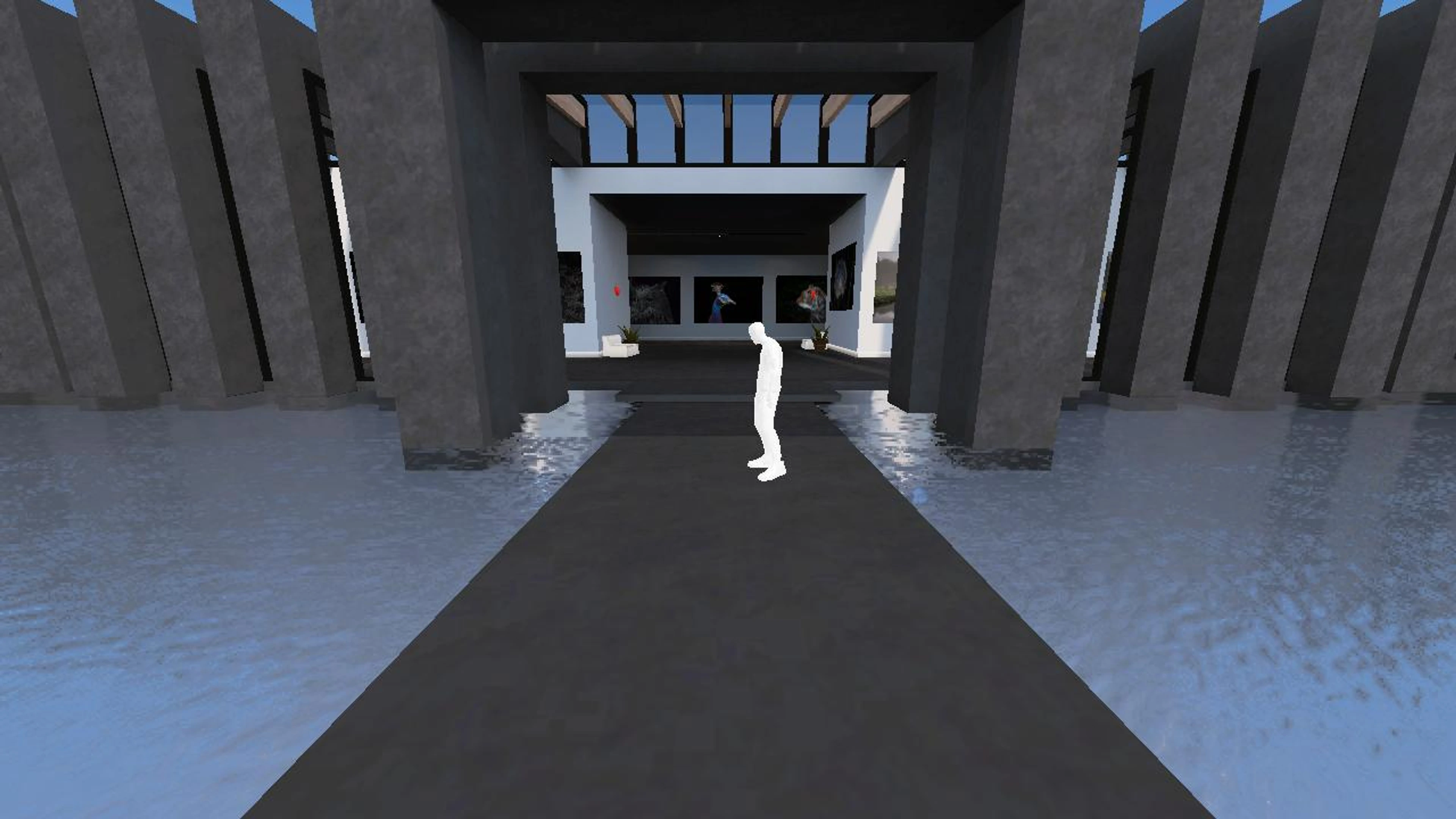 FotoGraaGHanneke's Gallery