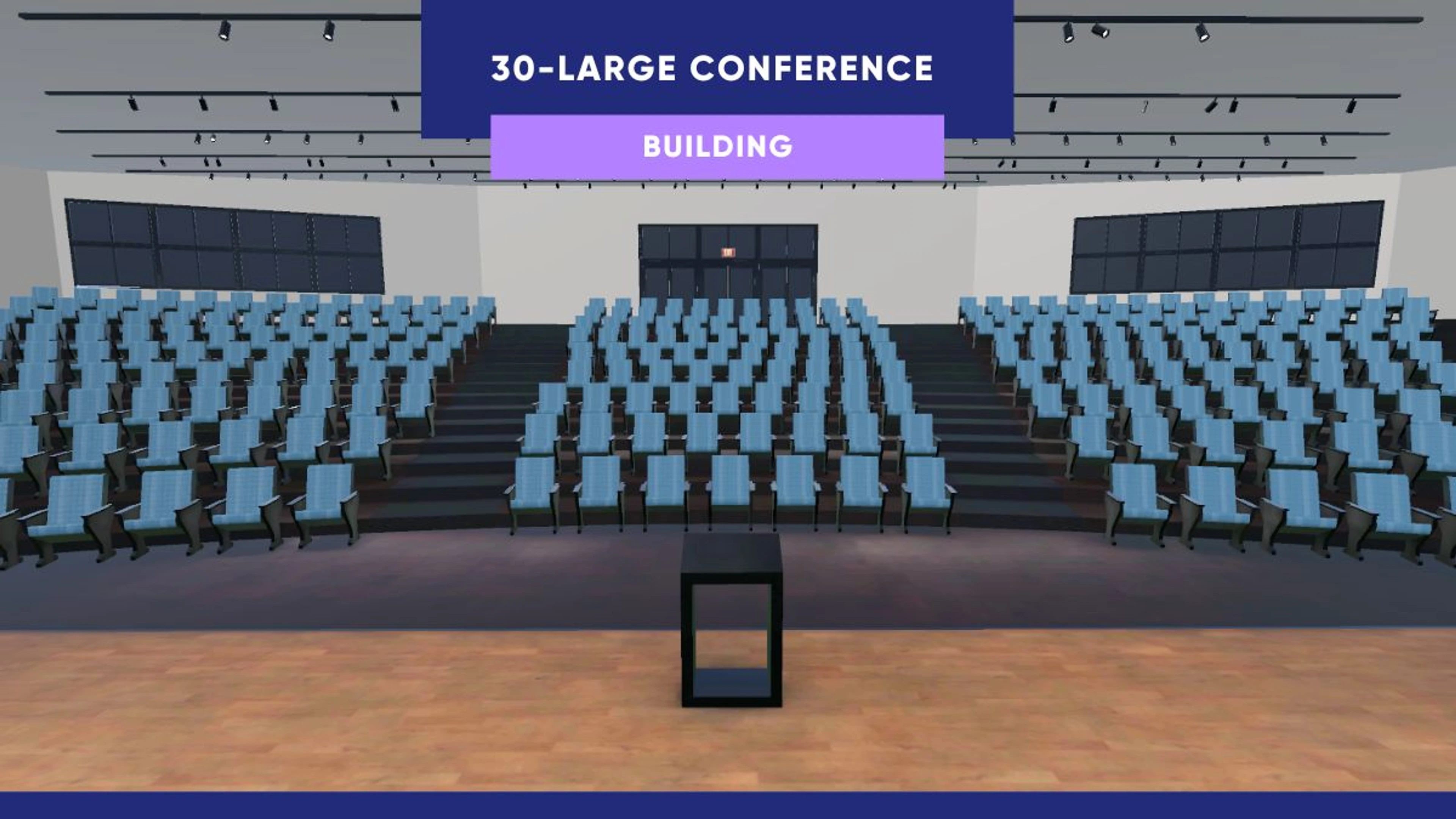 30 - Large Conference