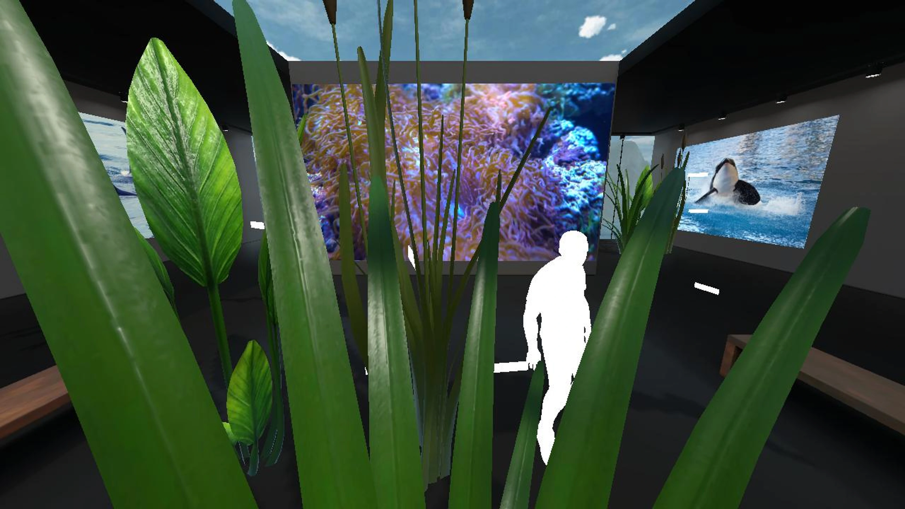 Thomas's underwater world