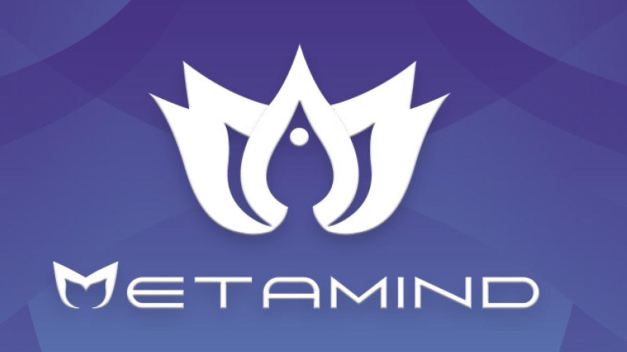 METAMIND - Mindfulness no Metaverso