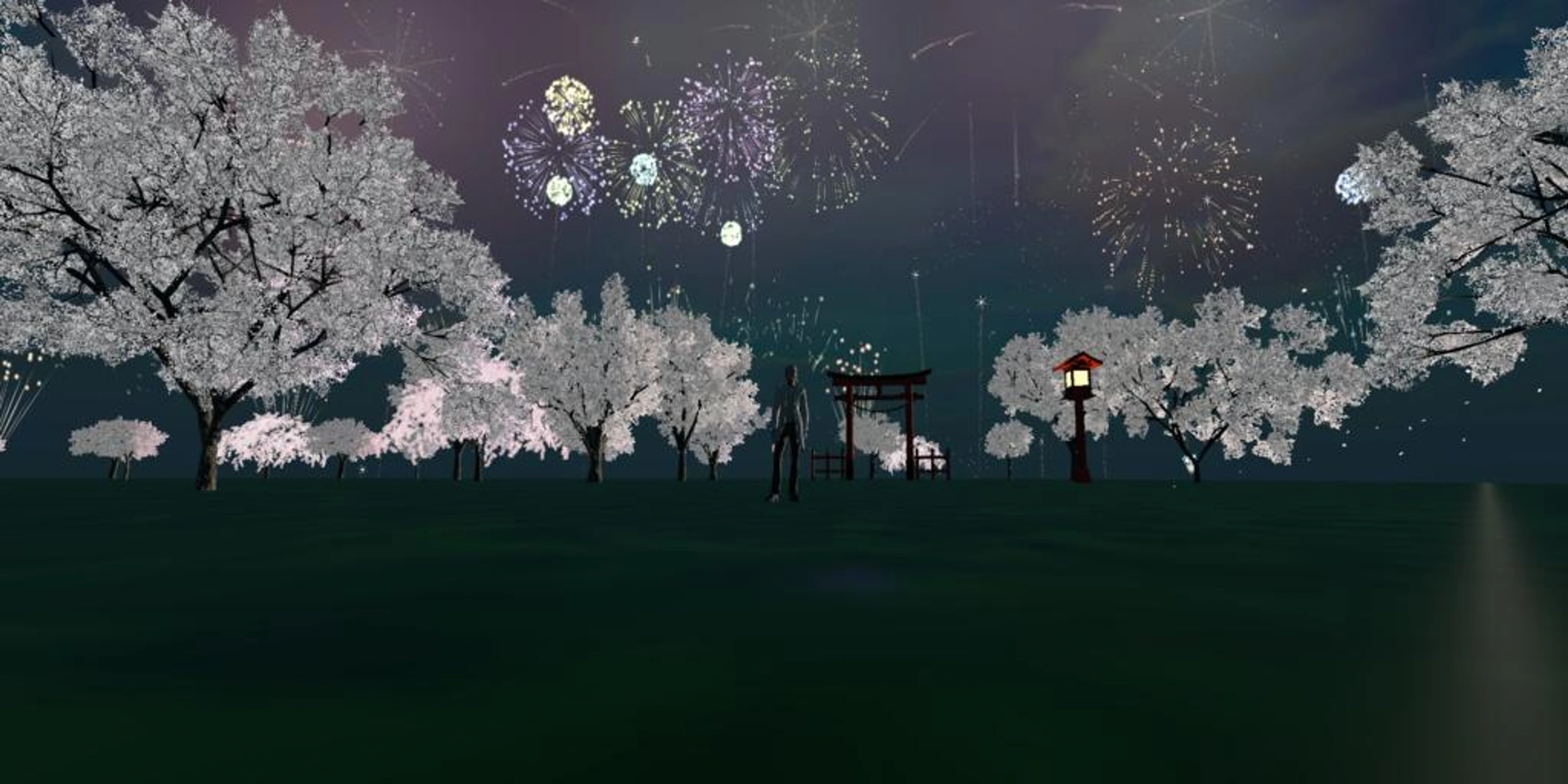 桜と花火（sakura and fireworks)