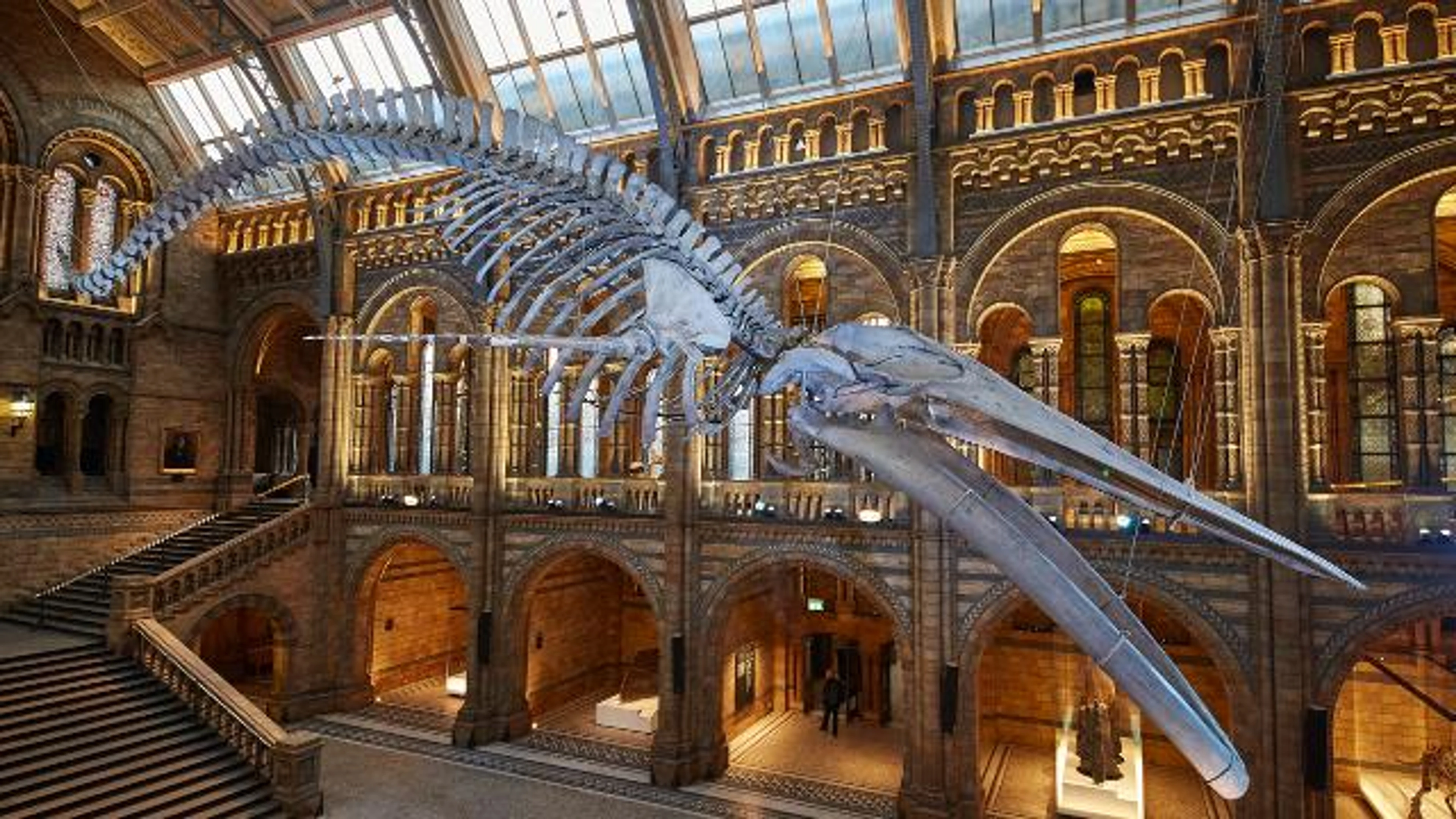 London Natural History Museum