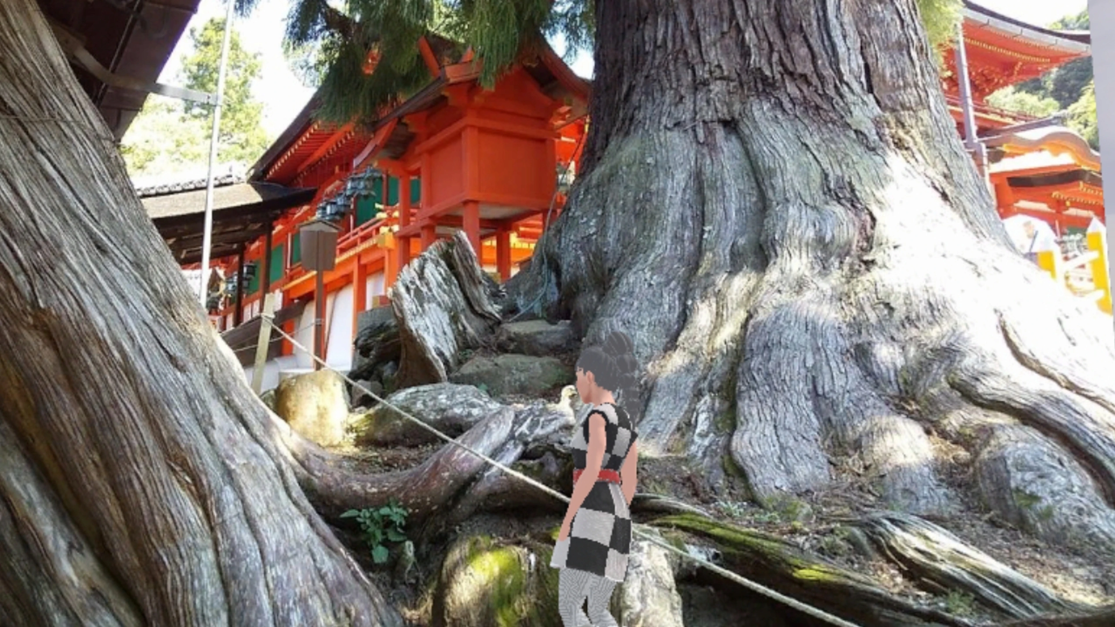 ご神木の森　～a Sacred Tree Forest～