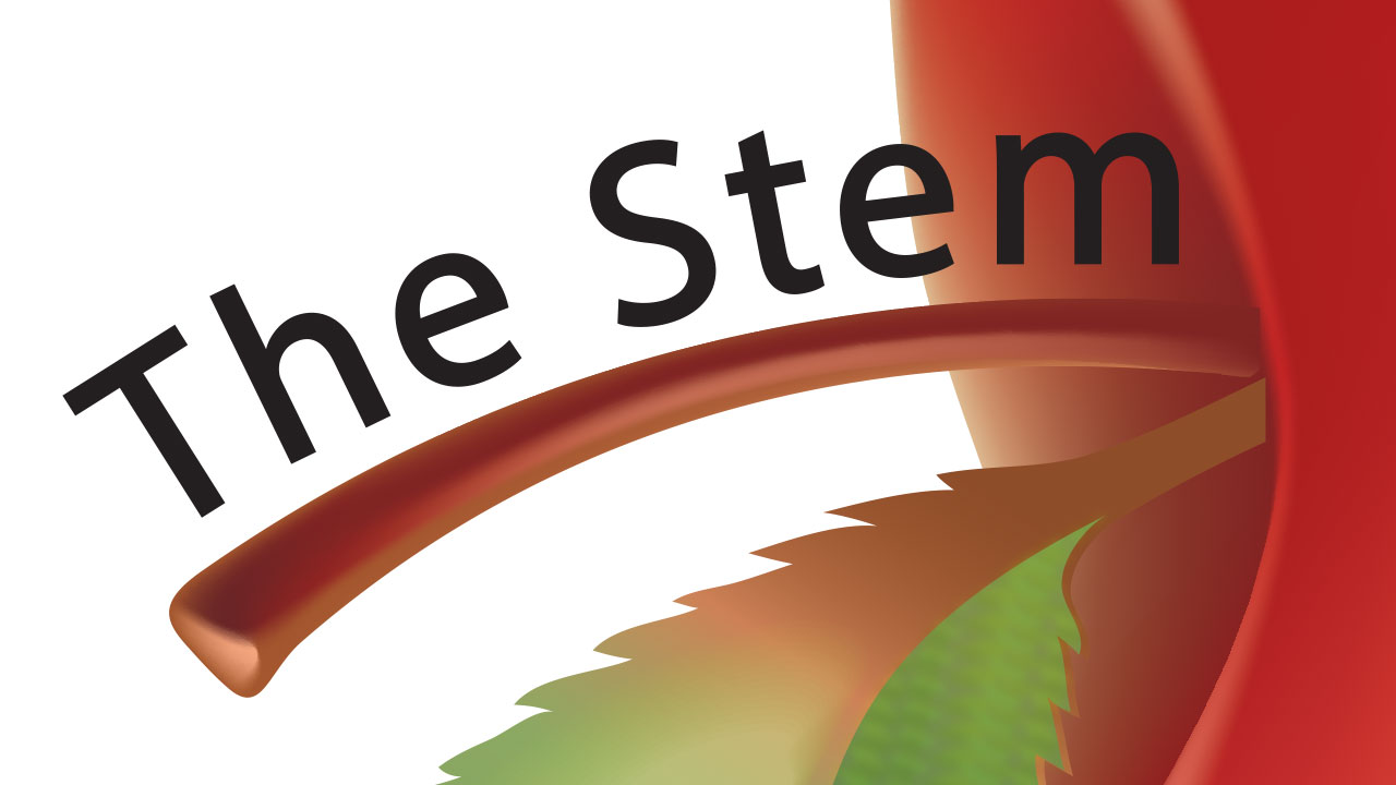 TheStemGroup's Home