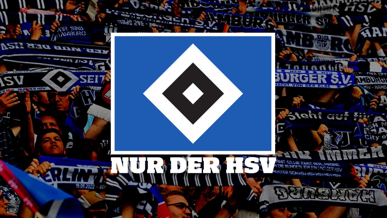Hamburger SV Metaverse