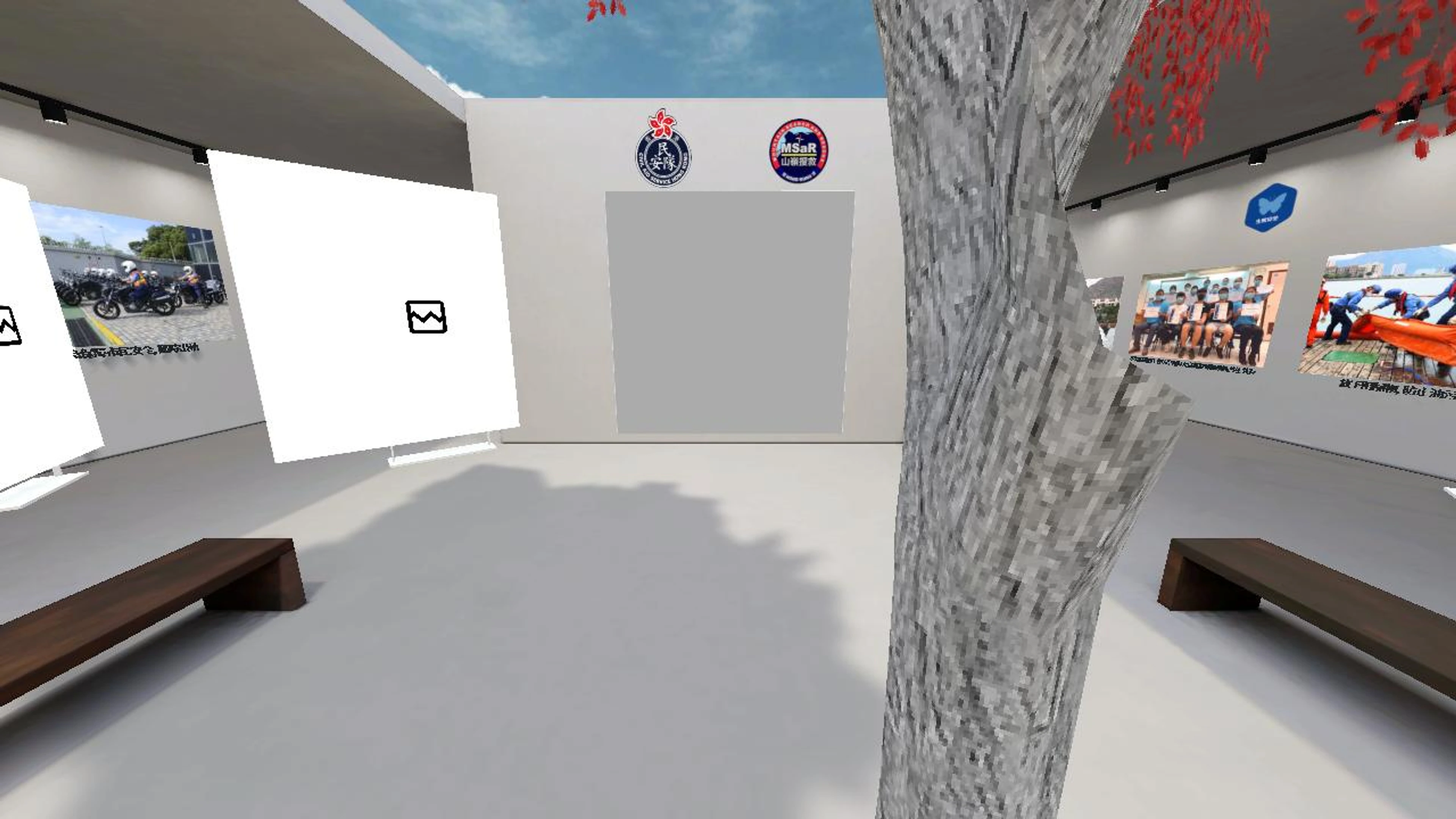 Civil Aid Service ver 2